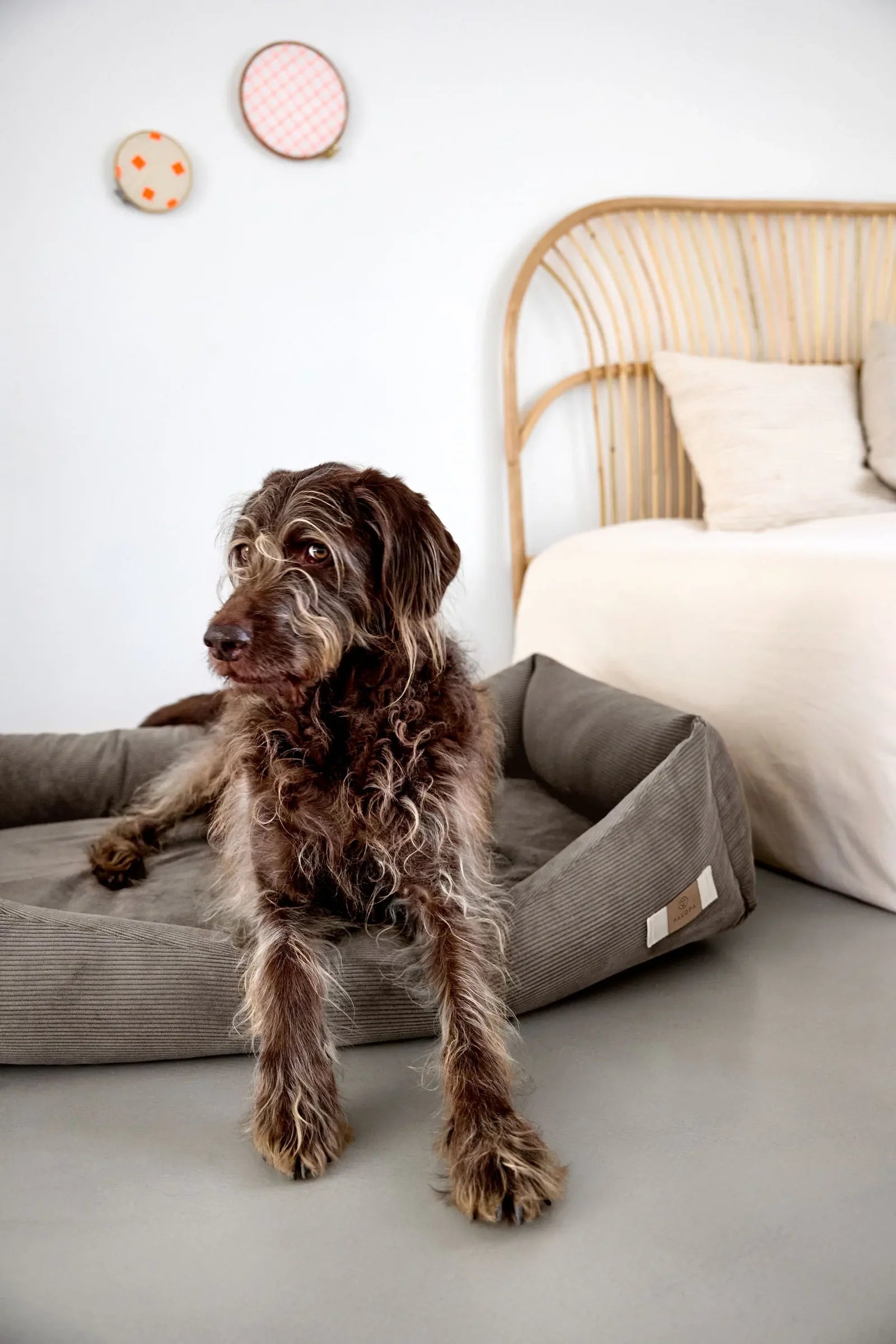 PALOPA Hundebett Cord Fred Braun Hundebett formstabil