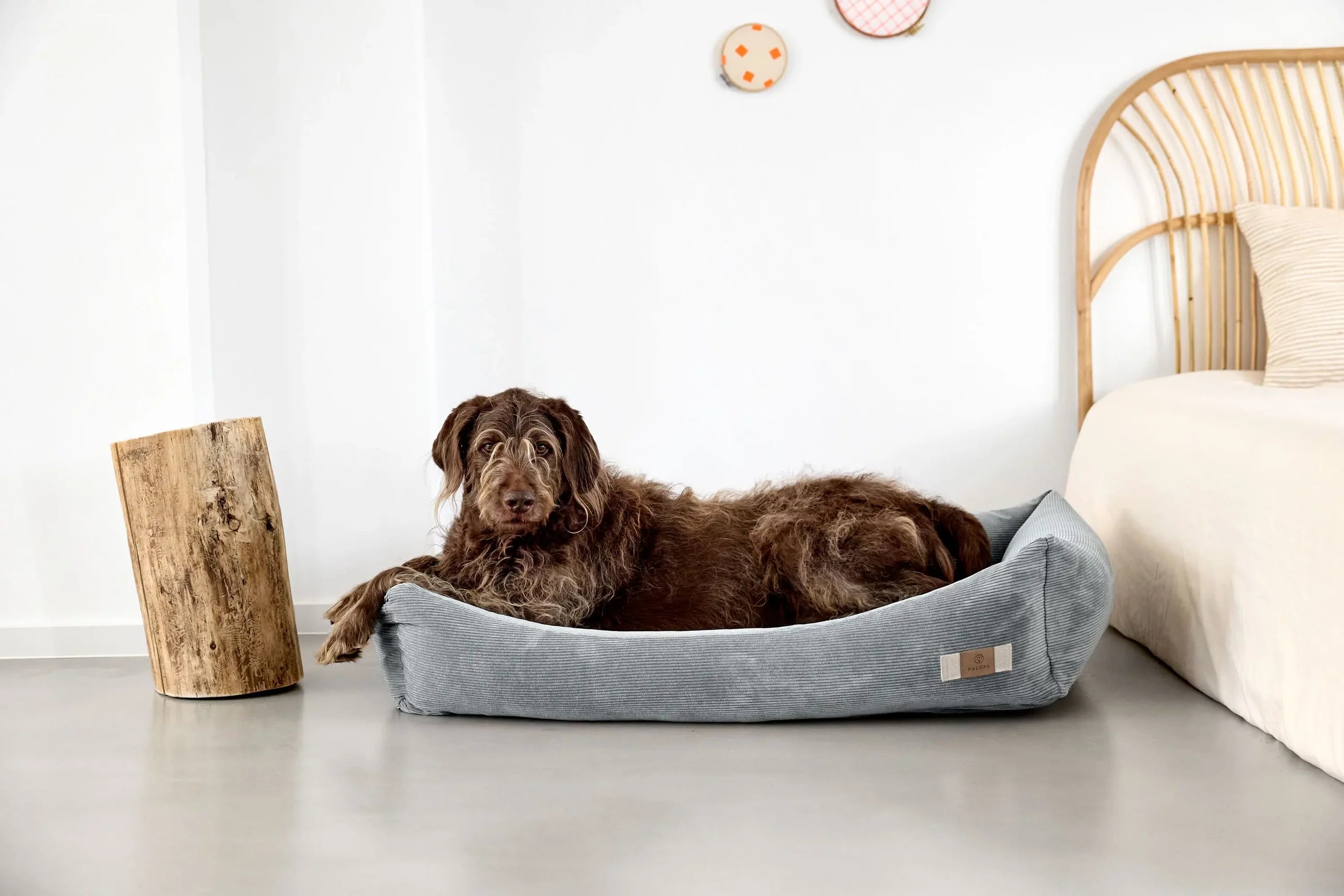 Hundebett Cord Fred Grau