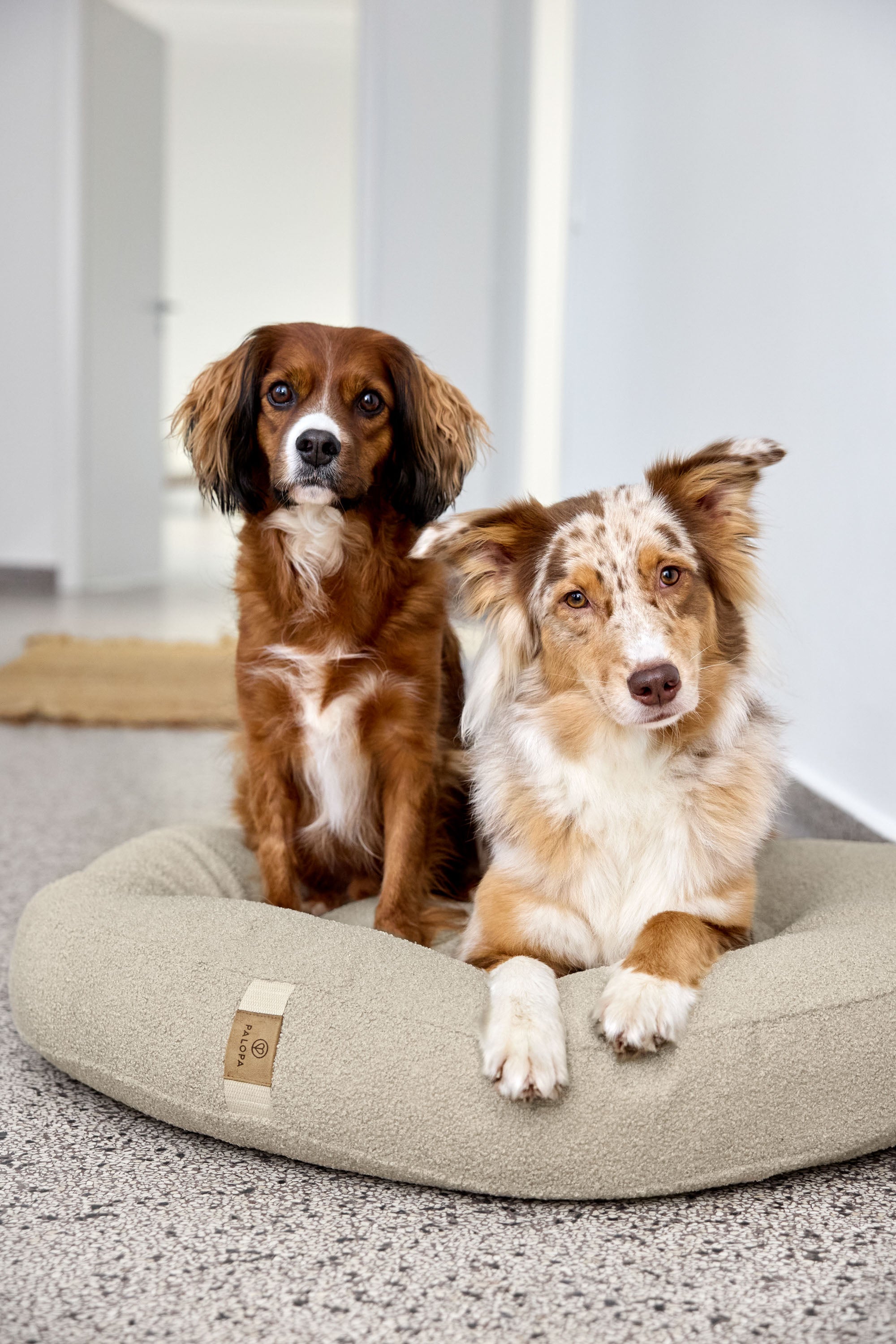PALOPA Hundebett Donut Fippa Hafer Hundebett Teddystoff Boucle