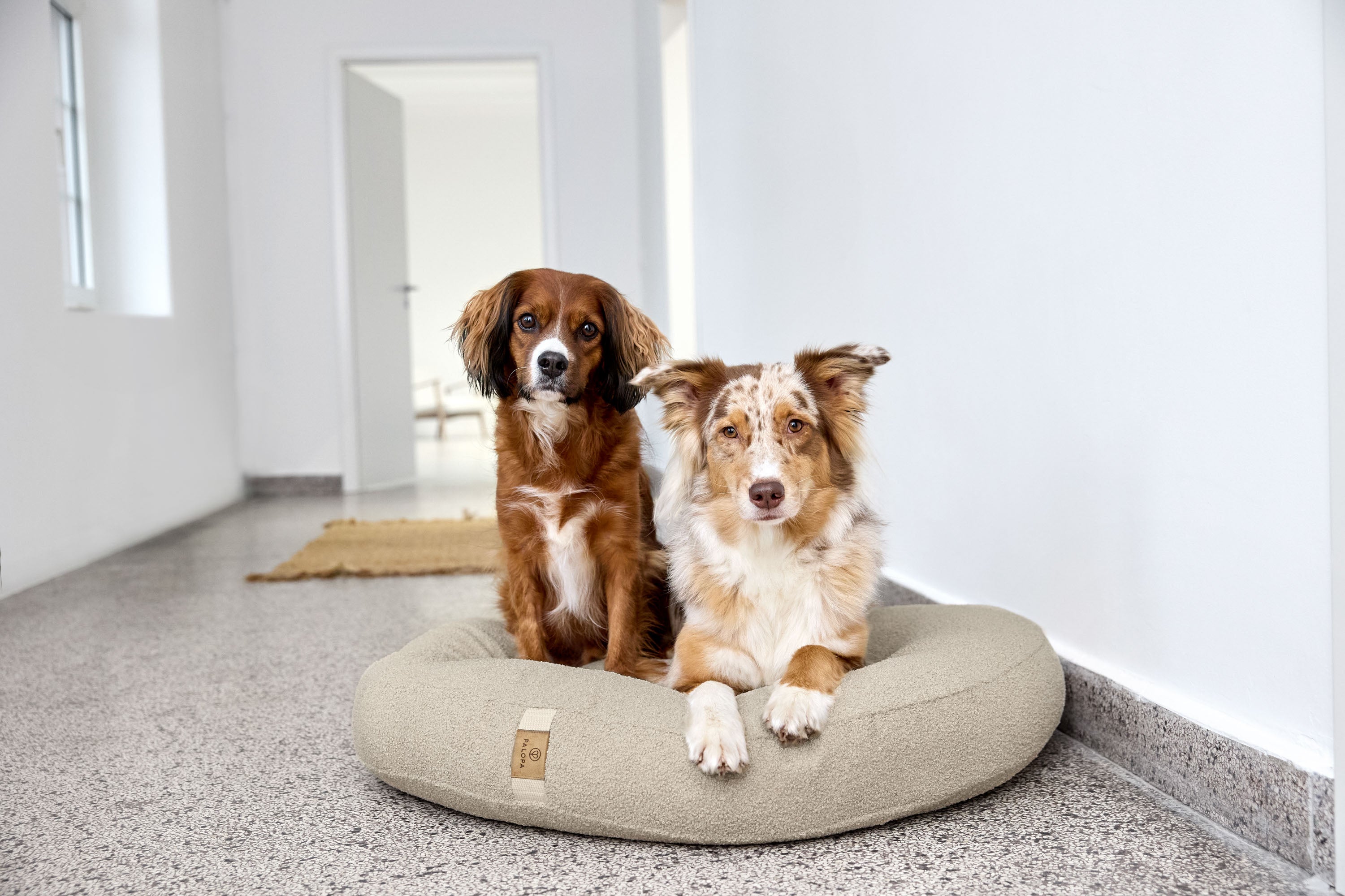 PALOPA Hundebett Donut Fippa Hafer Hundebett rund