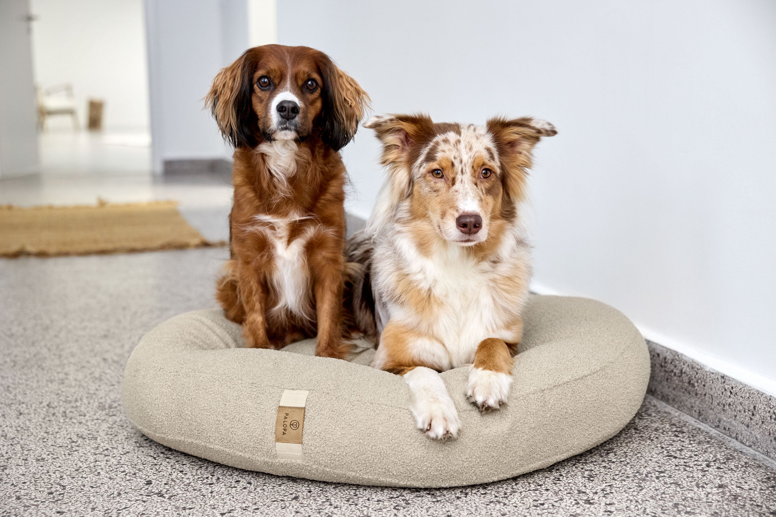 PALOPA Hundebett Donut Fippa Hafer Hundekissen Beige Teddystoff Boucle