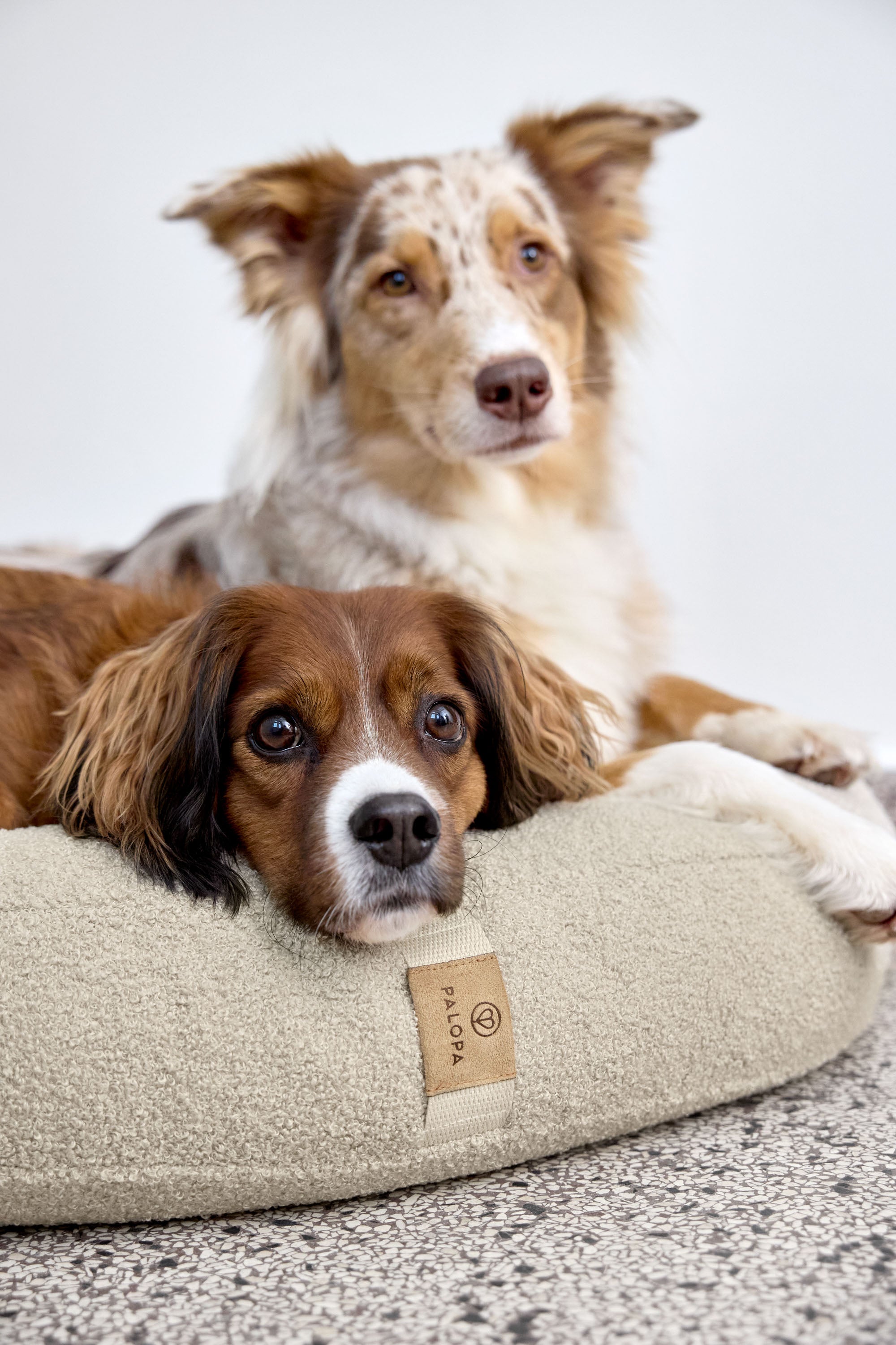 PALOPA Hundebett Donut Fippa Hafer Hundekissen Boucle Teddystoff waschbar Beige