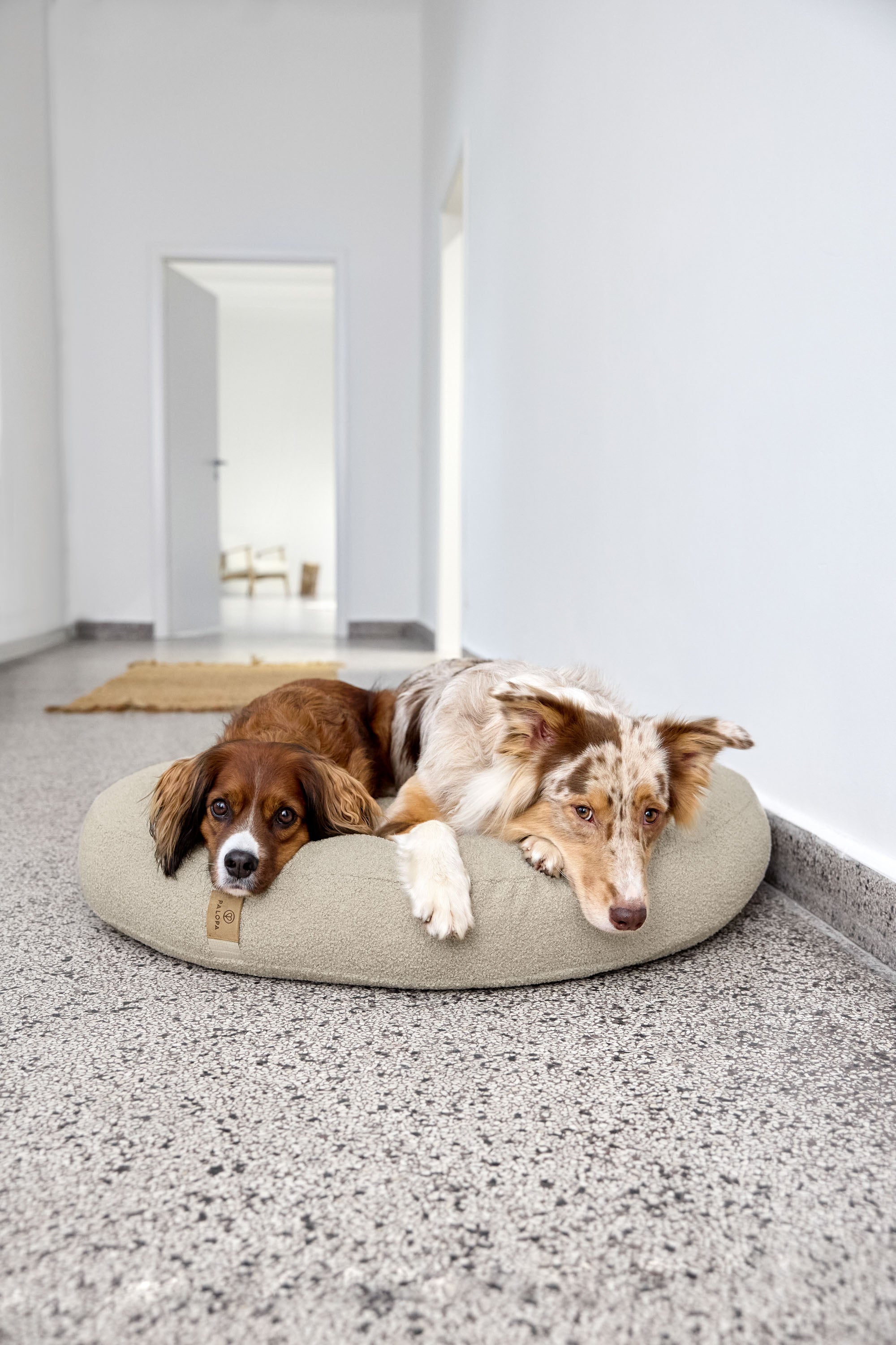 PALOPA Hundebett Donut Fippa Hafer Hundekissen Teddystoff Boucle Beige