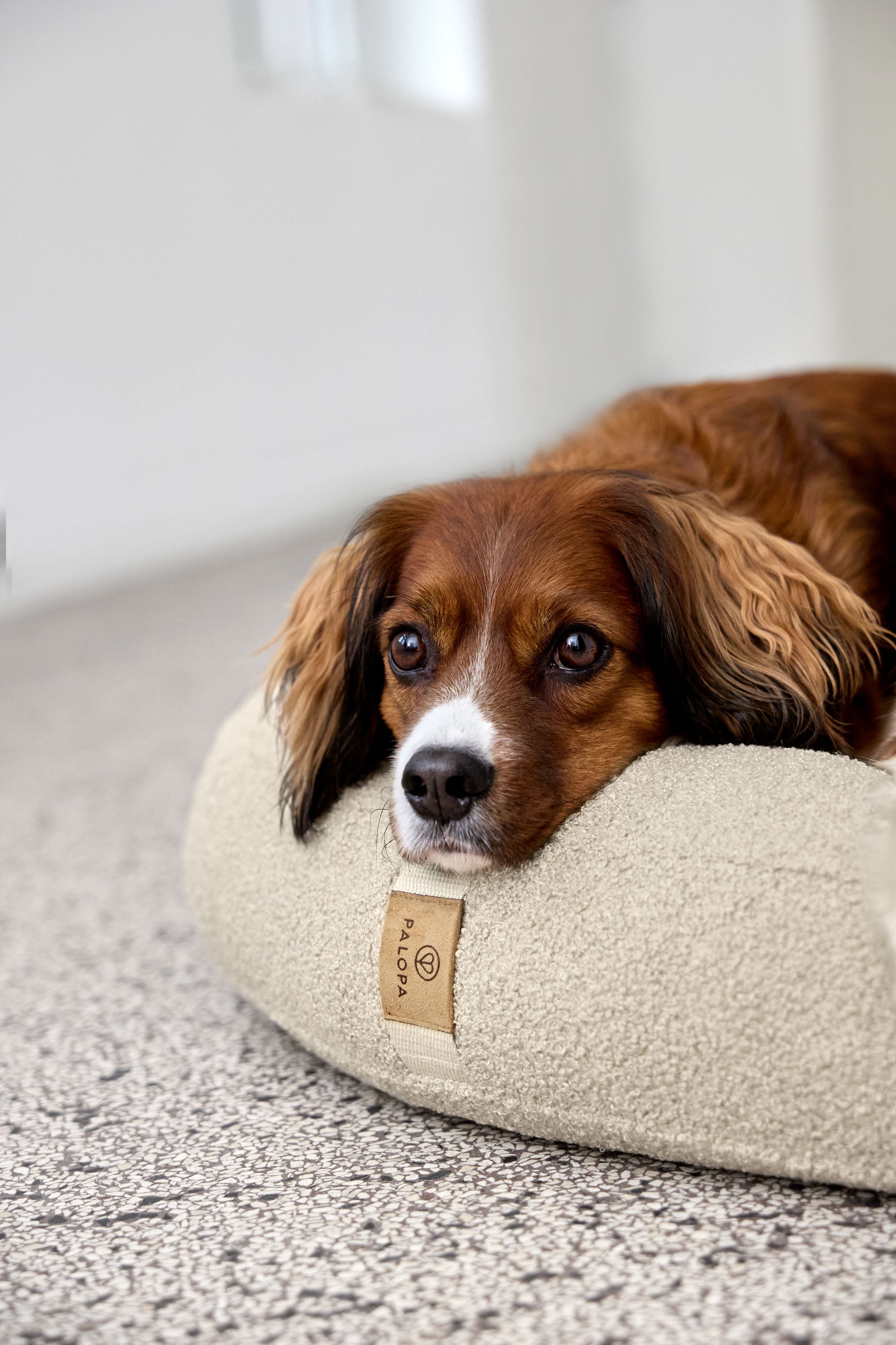PALOPA Hundebett Donut Fippa Hafer Hundekissen rund Boucle Teddystoff Beige