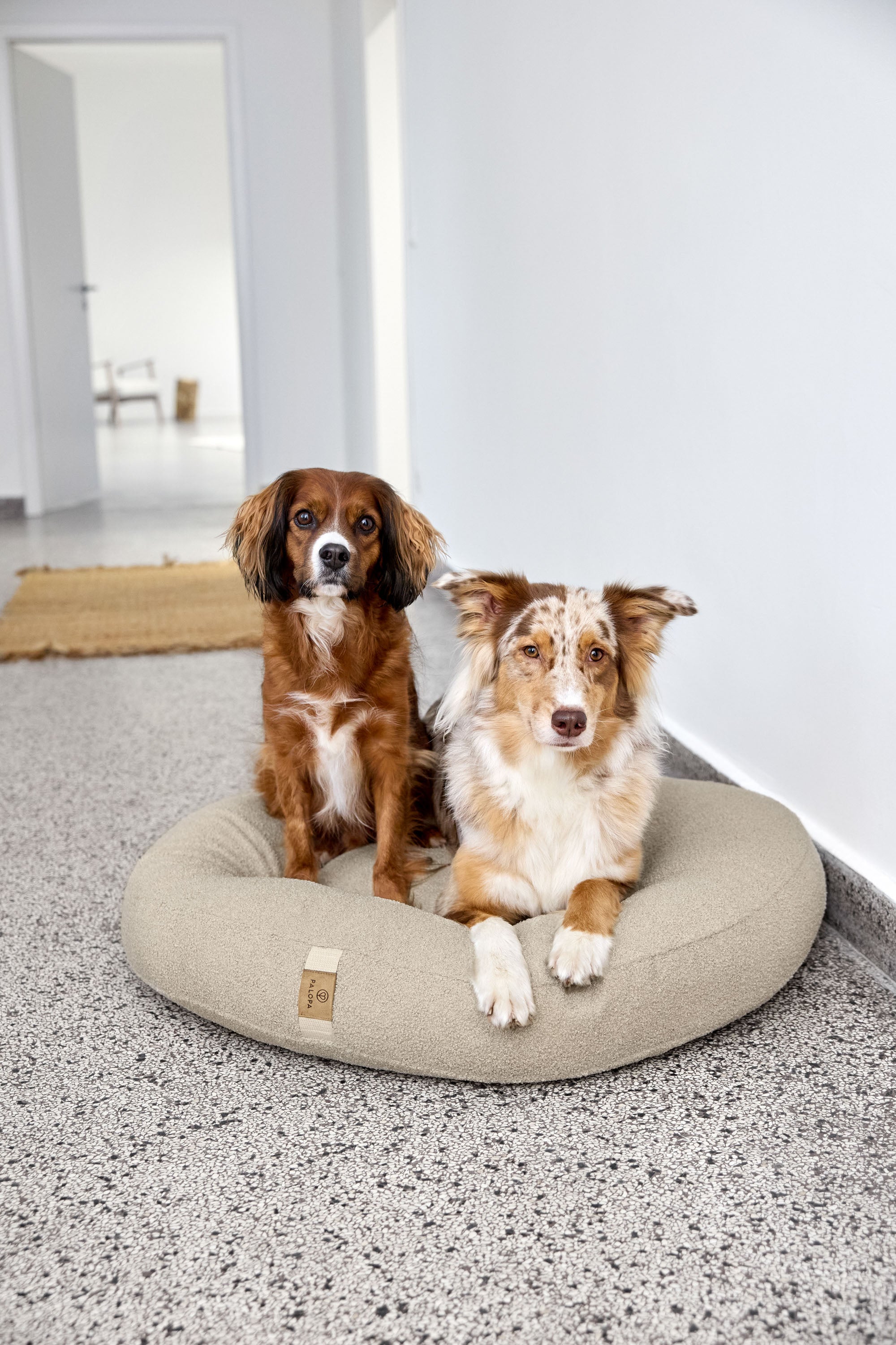 PALOPA Hundebett Donut Fippa Hafer Hundekissen rund Teddystoff