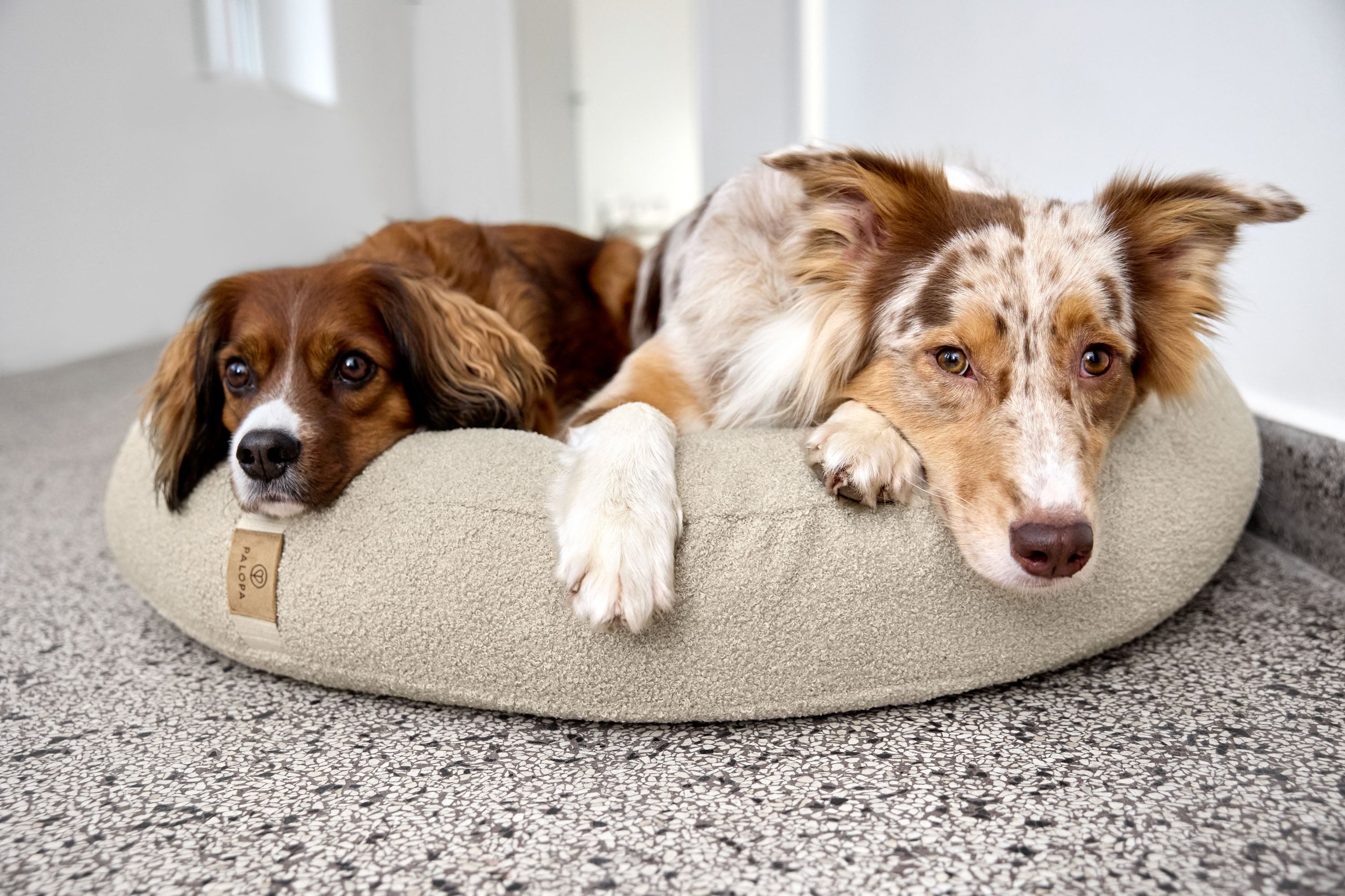 PALOPA Hundebett Donut Fippa Hafer Hundepouf Beige rund Boucle Teddystoff