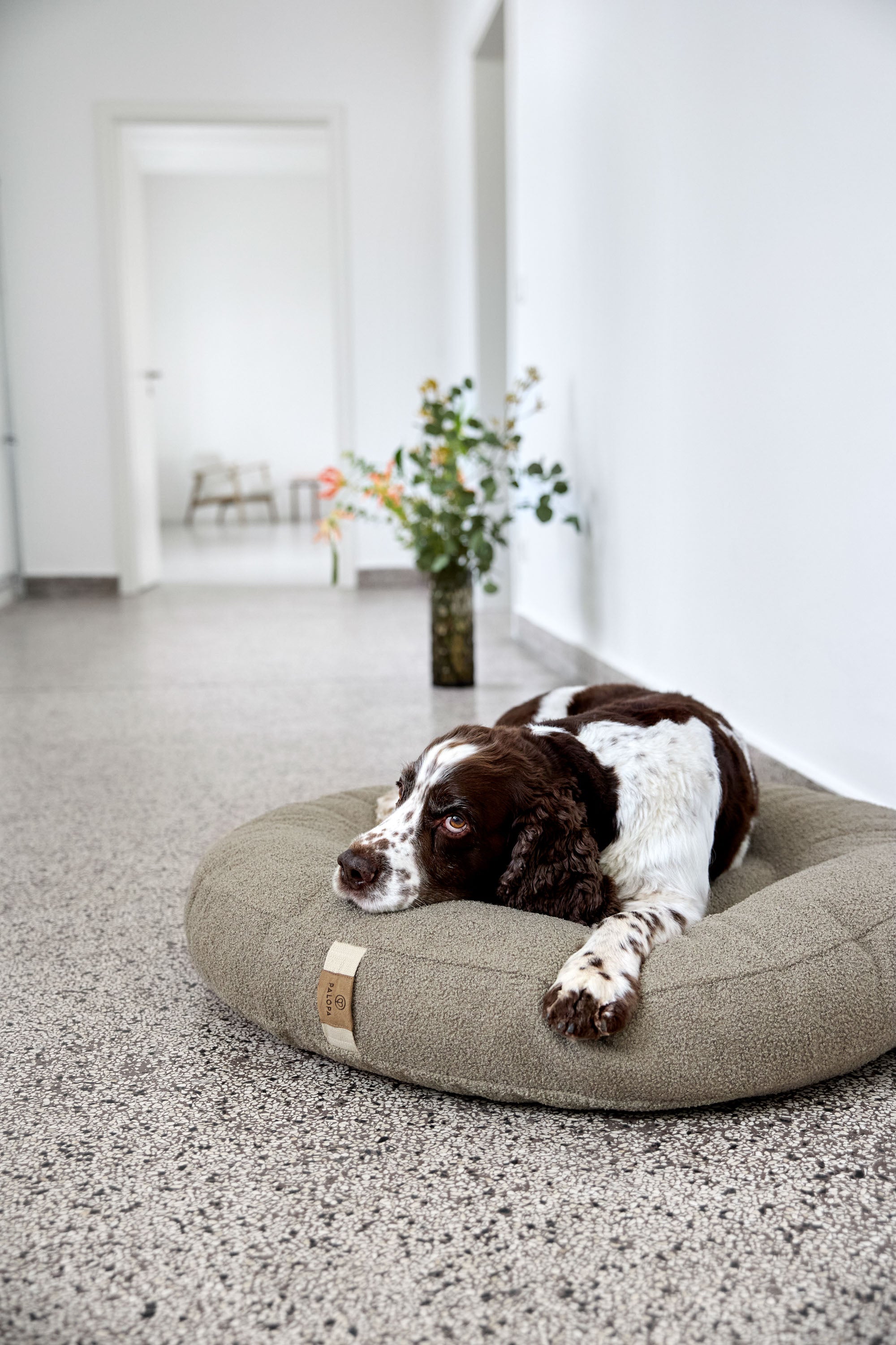 PALOPA Hundebett Donut Fippa Taupe Hundebett rund