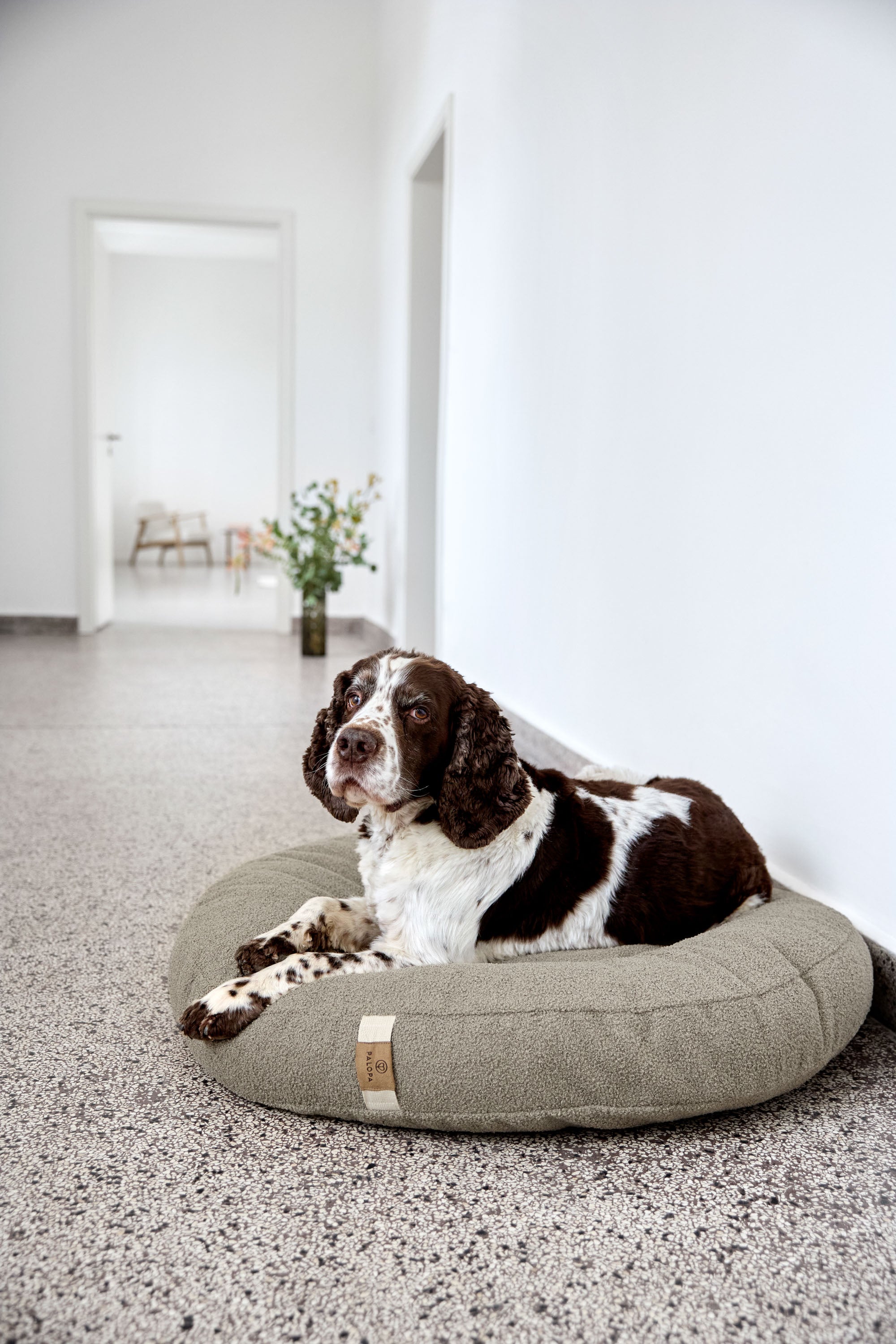 PALOPA Hundebett Donut Fippa Taupe HUndekissen Boucle Teddystoff waschbar