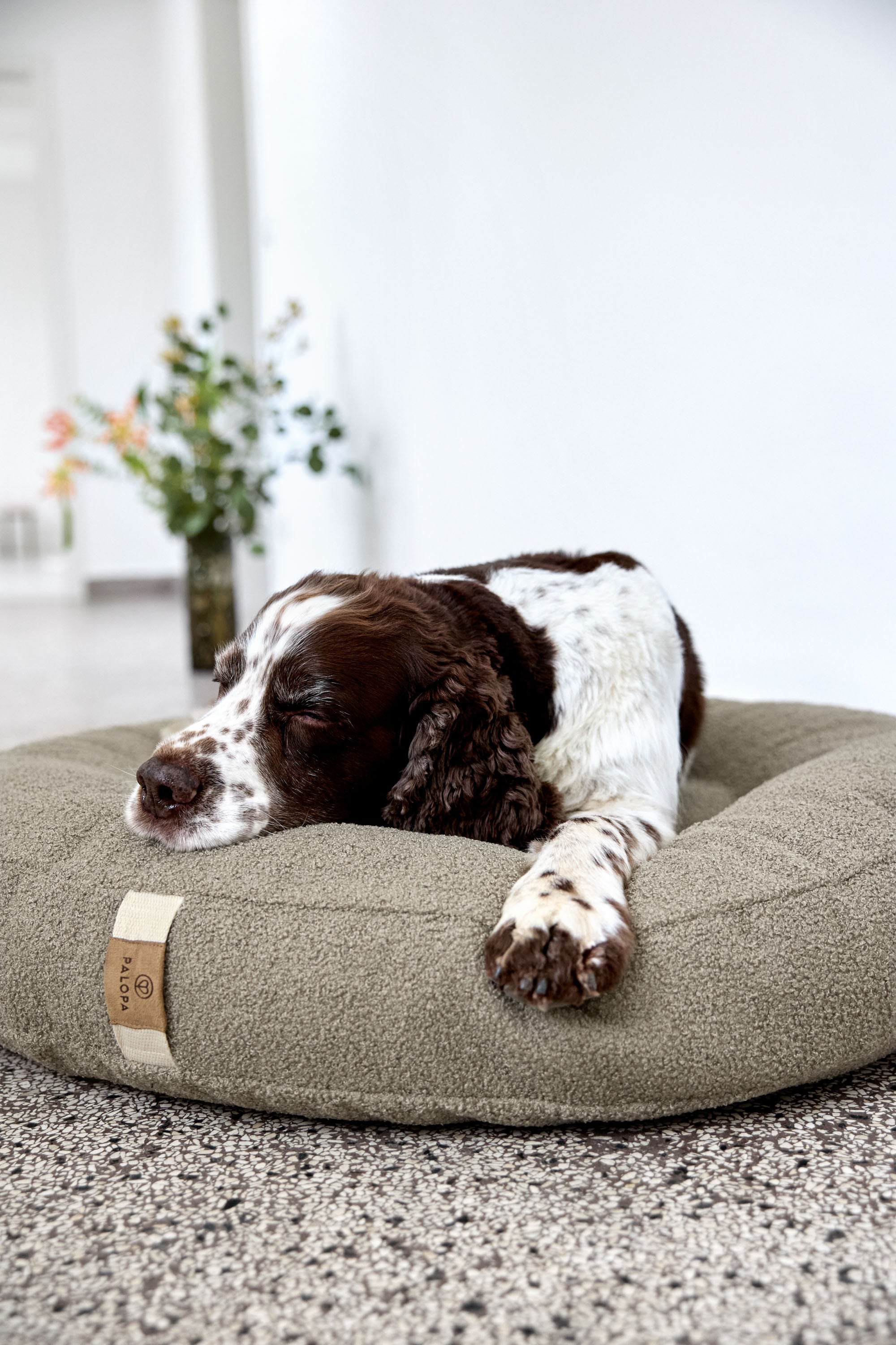 PALOPA Hundebett Donut Fippa Taupe Hundekissen Boucle Teddystoff