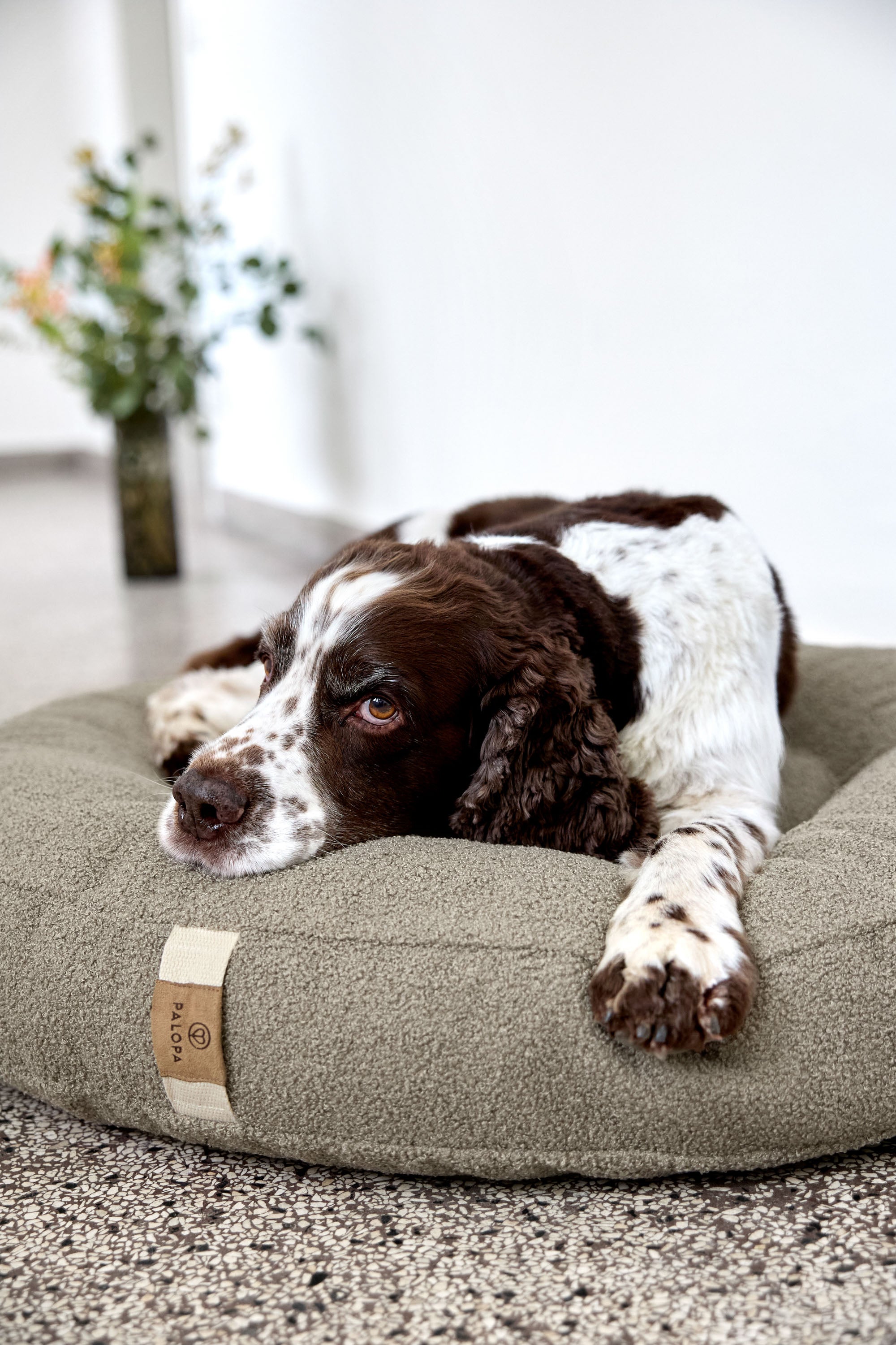 PALOPA Hundebett Donut Fippa Taupe Hundekissen Teddystoff Boucle