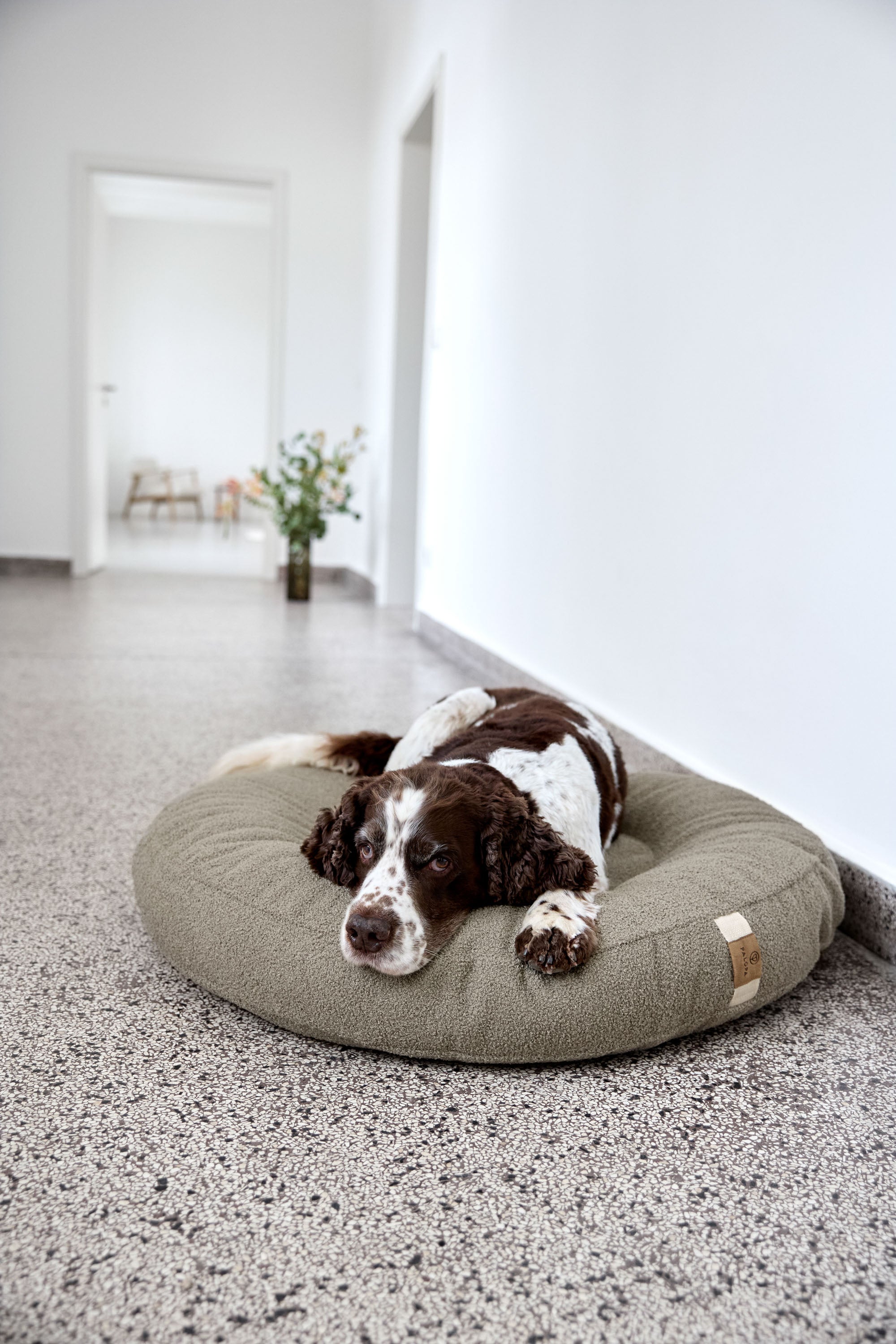 PALOPA Hundebett Donut Fippa Taupe Hundekissen abnehmbarer Bezug