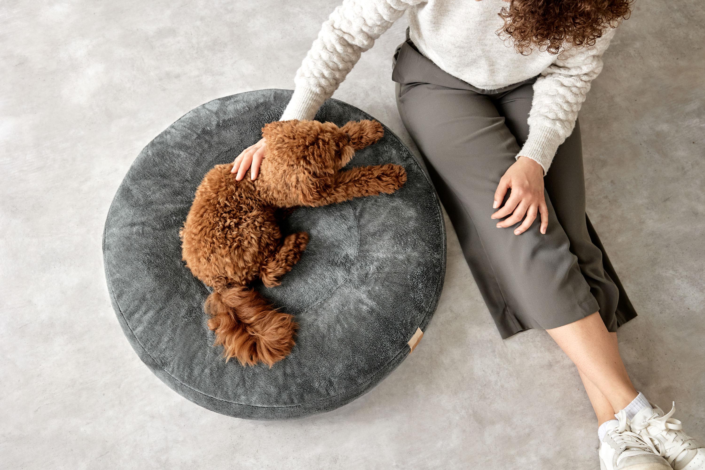 PALOPA Hundebett Donut Fippa Anthrazit Kuschelbett fuer kleine Hunde