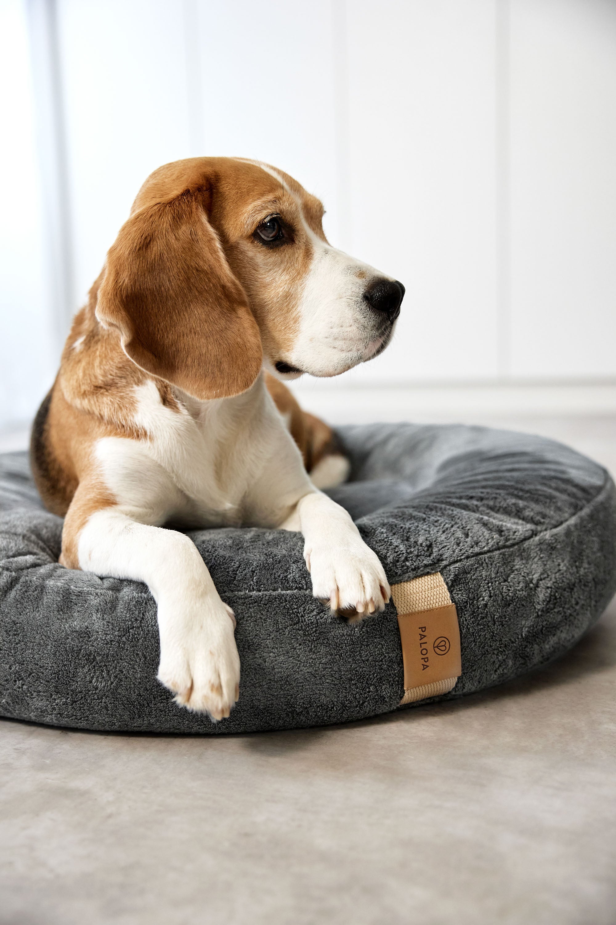PALOPA Hundebett Donut Fippa Anthrazit dunkles Kuschelbett fuer Hunde