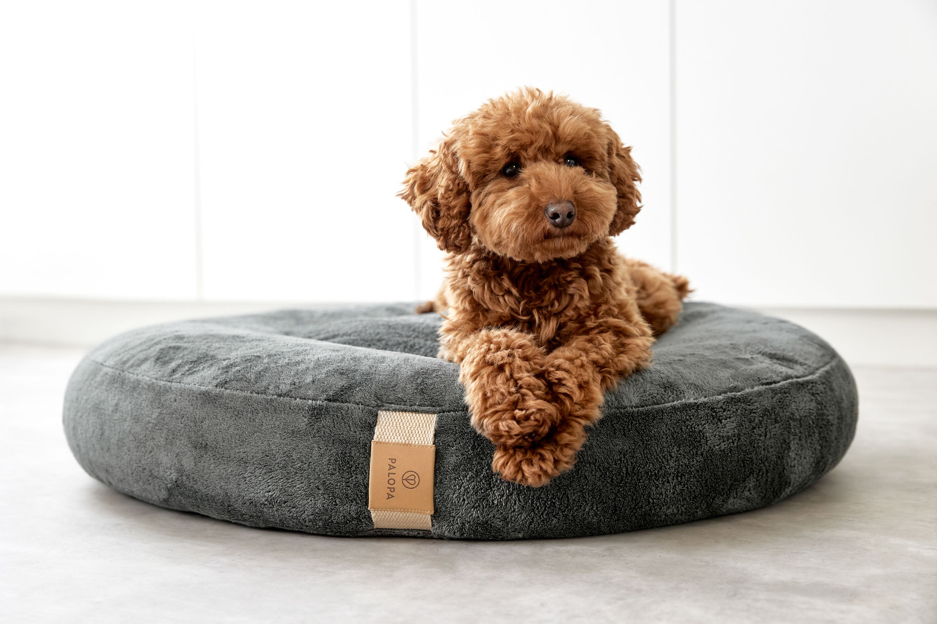 PALOPA Hundebett Donut Fippa Anthrazit ovales Kuschelbett fuer Hunde