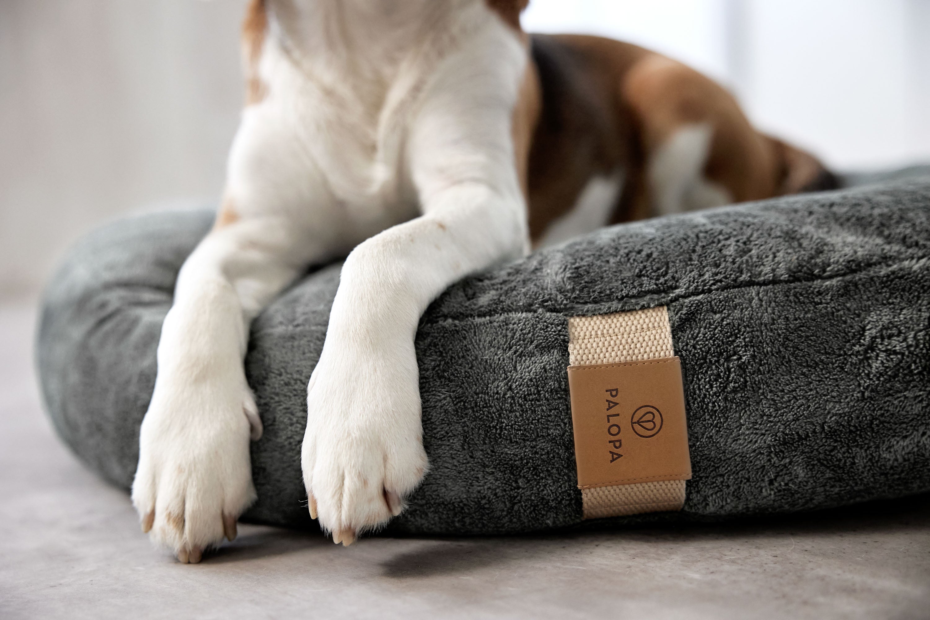 PALOPA Hundebett Donut Fippa Anthrazit waschbares Kuschelbett fuer Hunde
