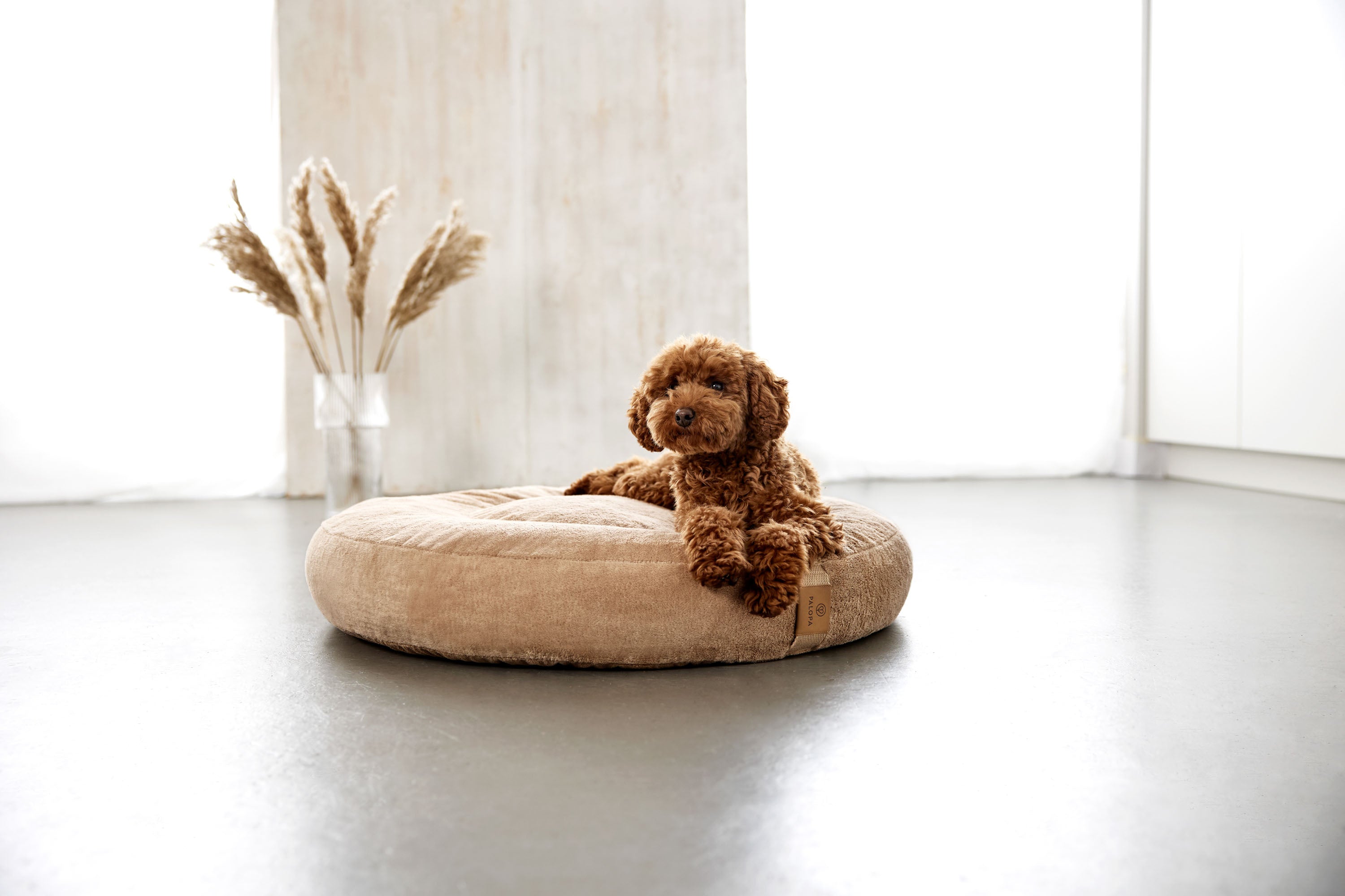 PALOPA Hundebett Donut Fippa Humus Donut Kuschelbett fuer Hunde