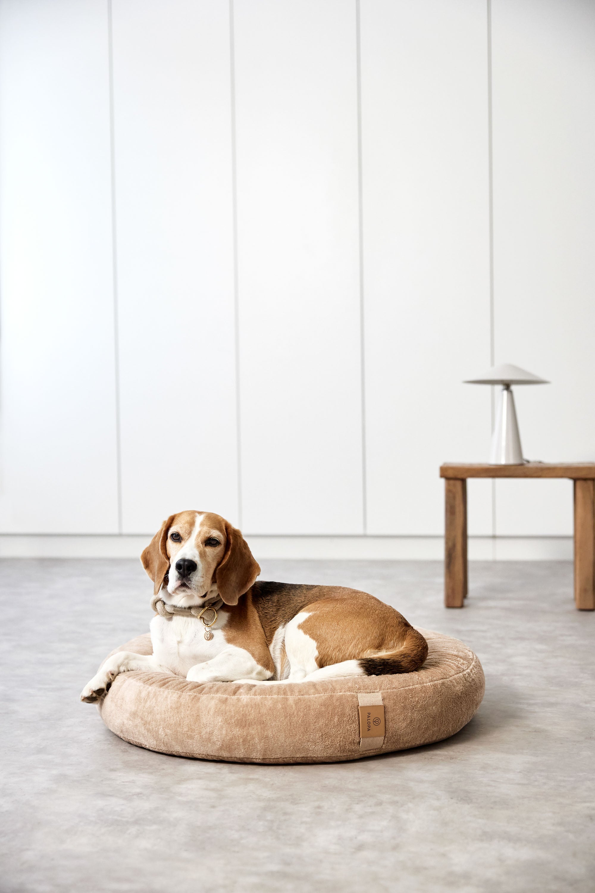 PALOPA Hundebett Donut Fippa Humus Donut Kuschelbett fuer grosse Hunde