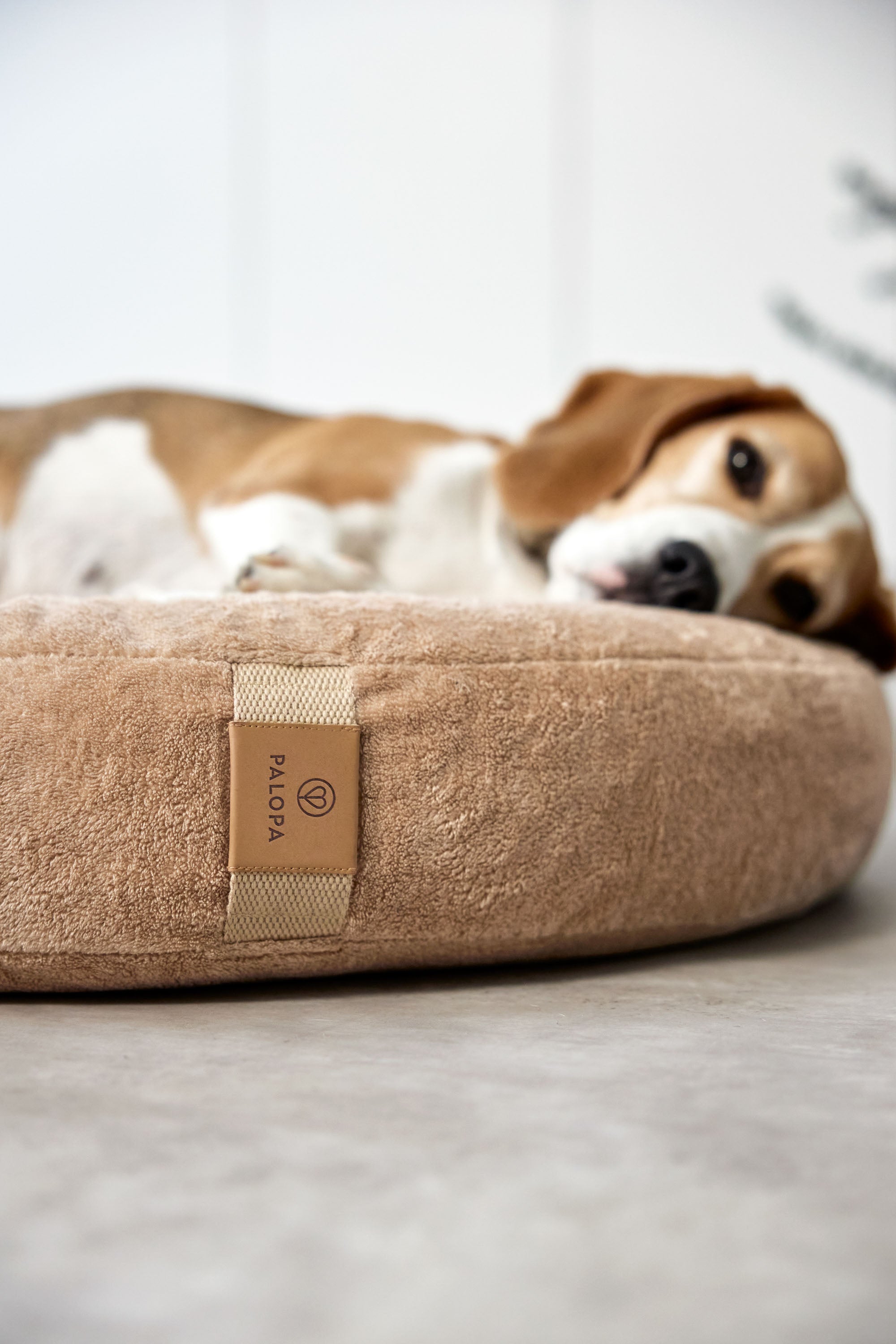 PALOPA Hundebett Donut Fippa Humus Kuschelbett fuer kleine Hunde