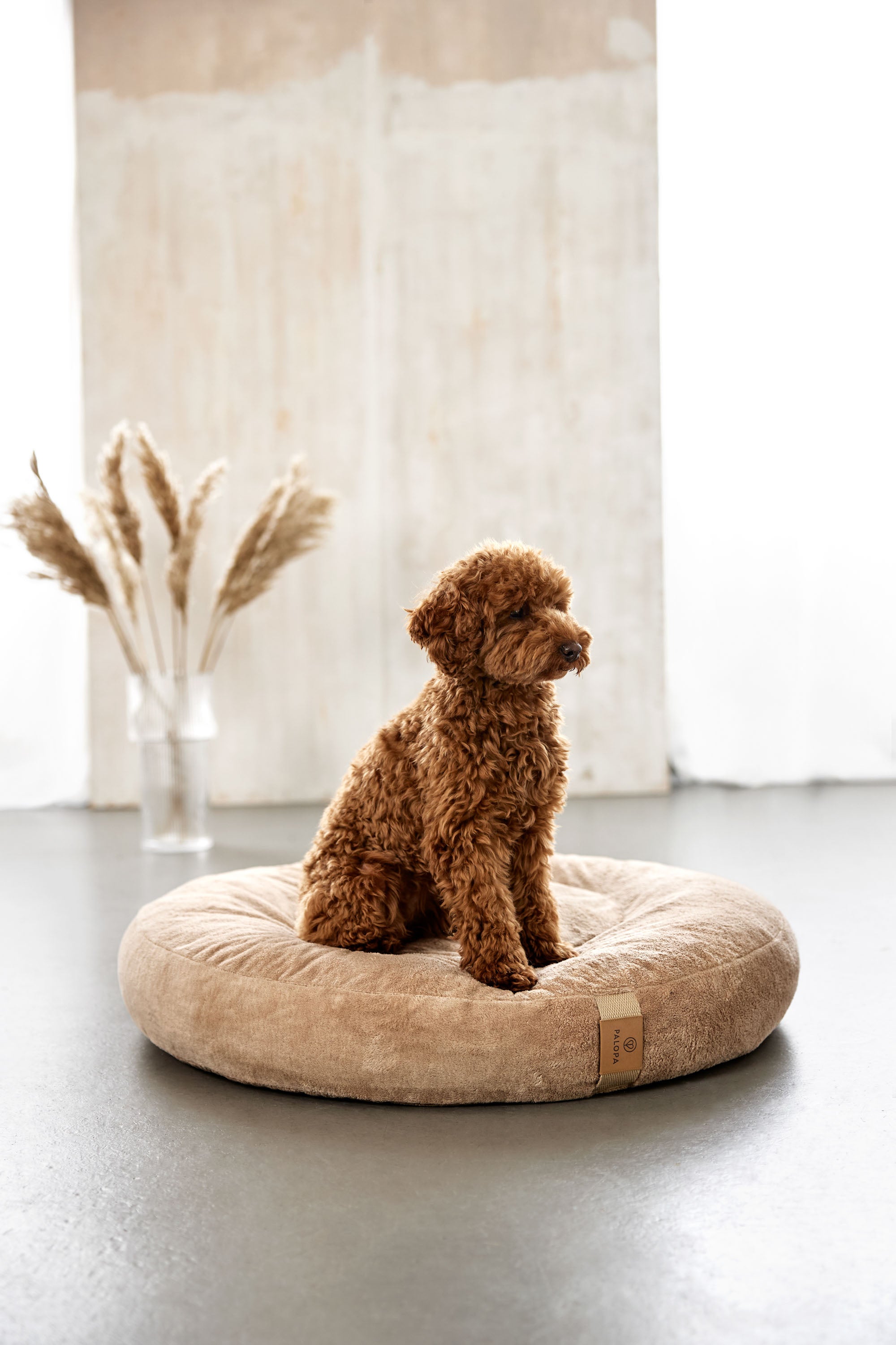PALOPA Hundebett Donut Fippa Humus Donut nachhaltiges Kuschelbett fuer Hunde