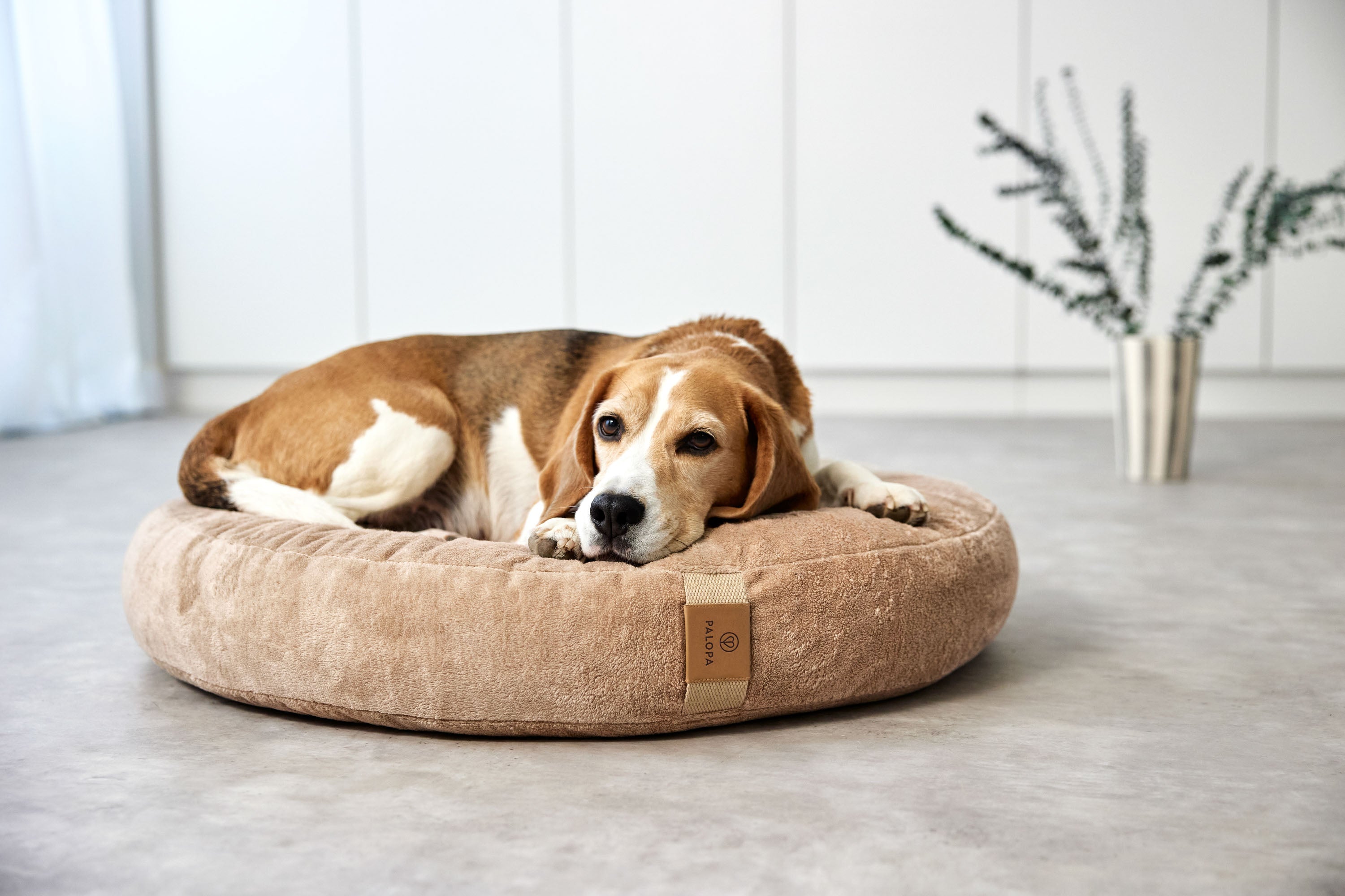 PALOPA Hundebett Donut Fippa Humus rundes Kuschelbett fuer Hunde