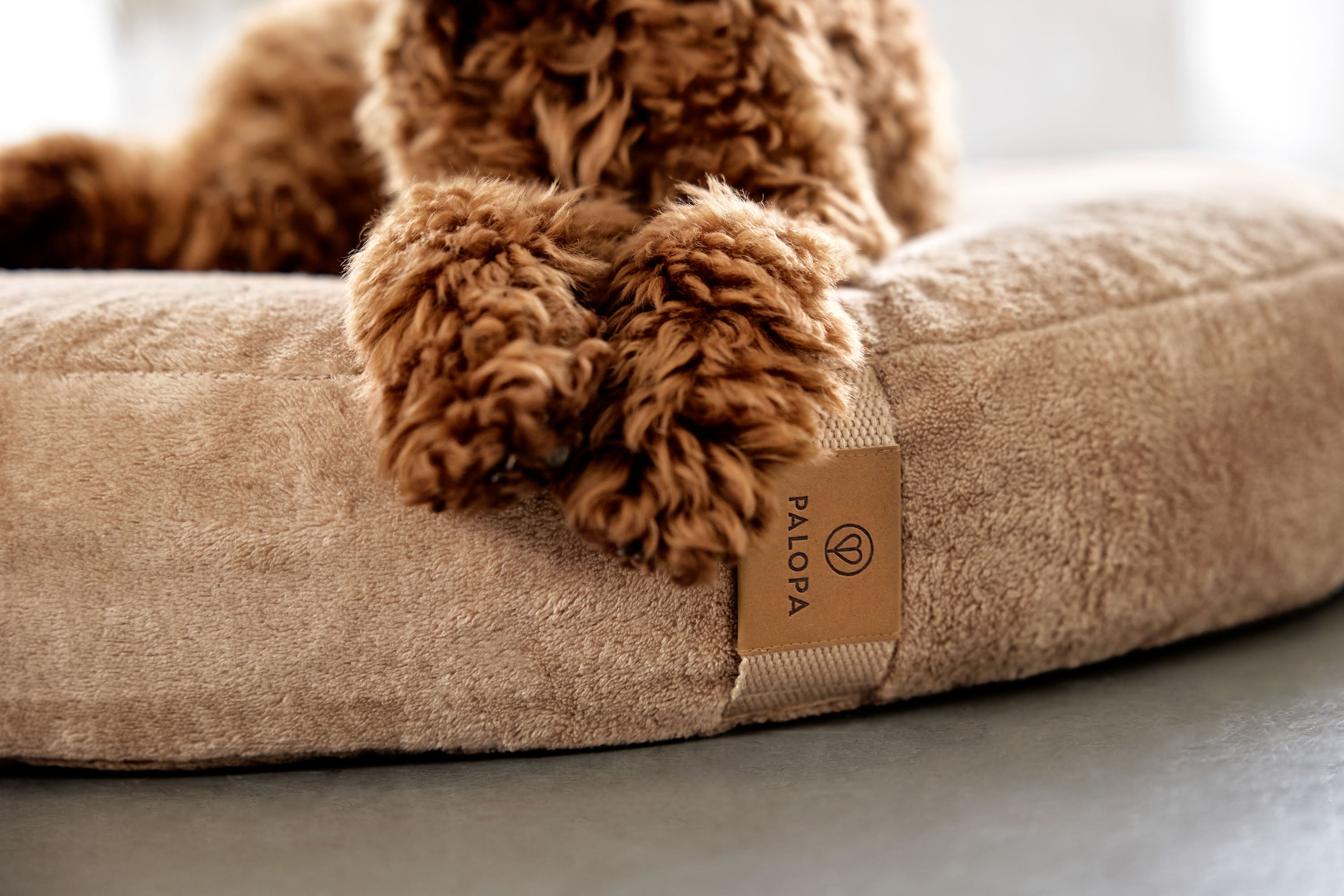 PALOPA Hundebett Donut Fippa Humus waschbares Kuschelbett fuer Hunde