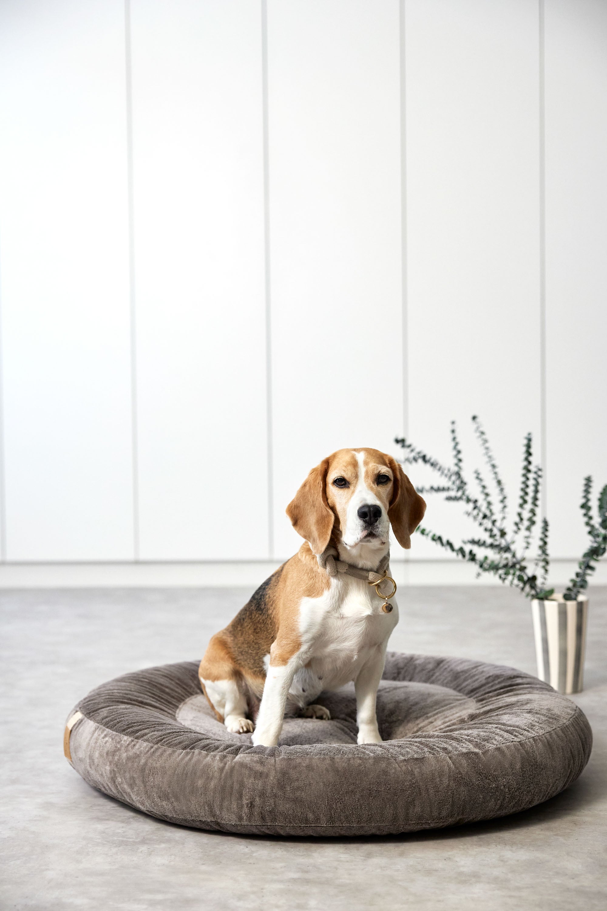 PALOPA Hundebett Donut Fippa Taupe Donut rundes Kuschelbett fuer kleine Hunde