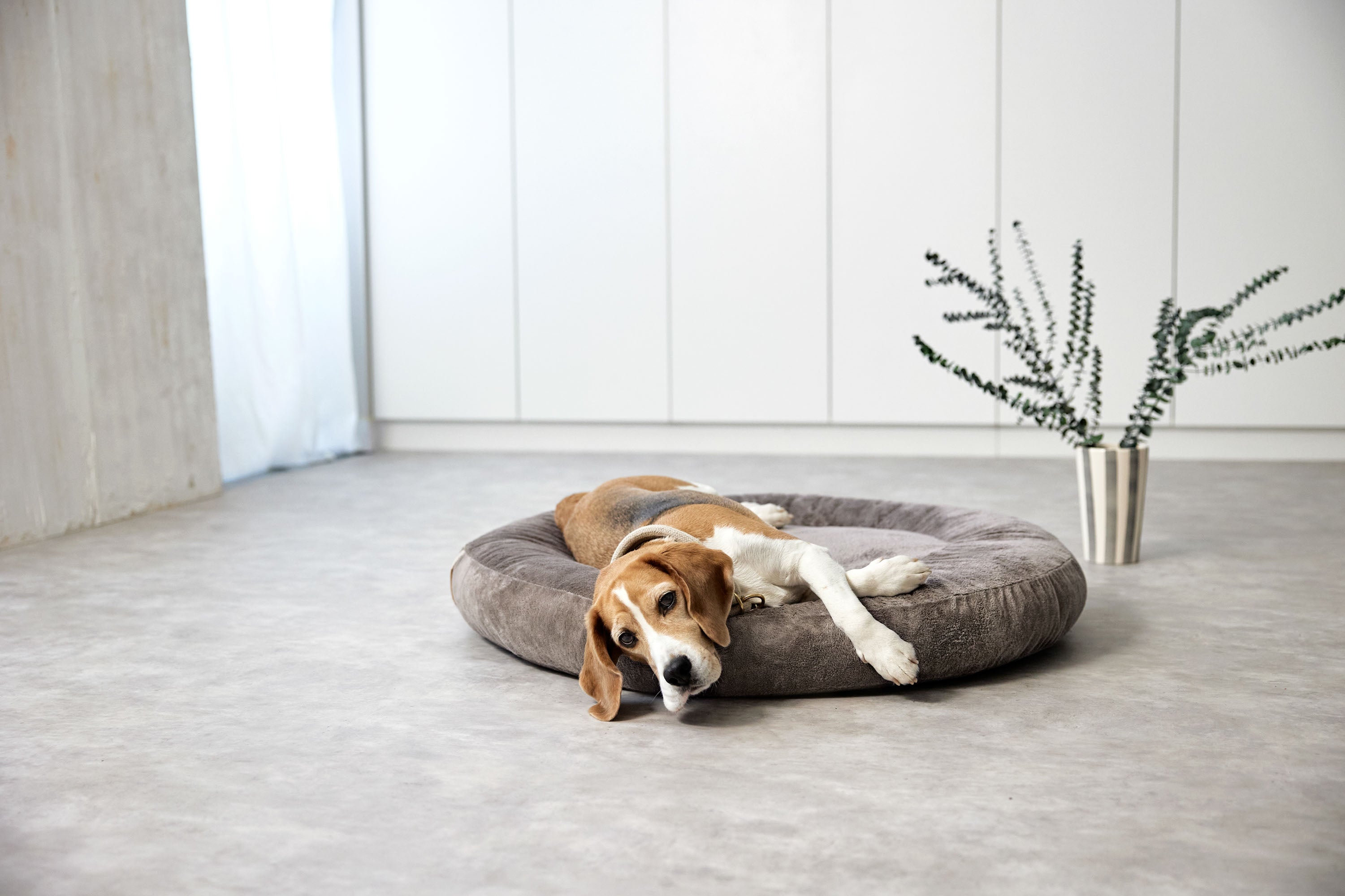 PALOPA Hundebett Donut Fippa Taupe Donut waschbares Kuschelbett fuer Hunde