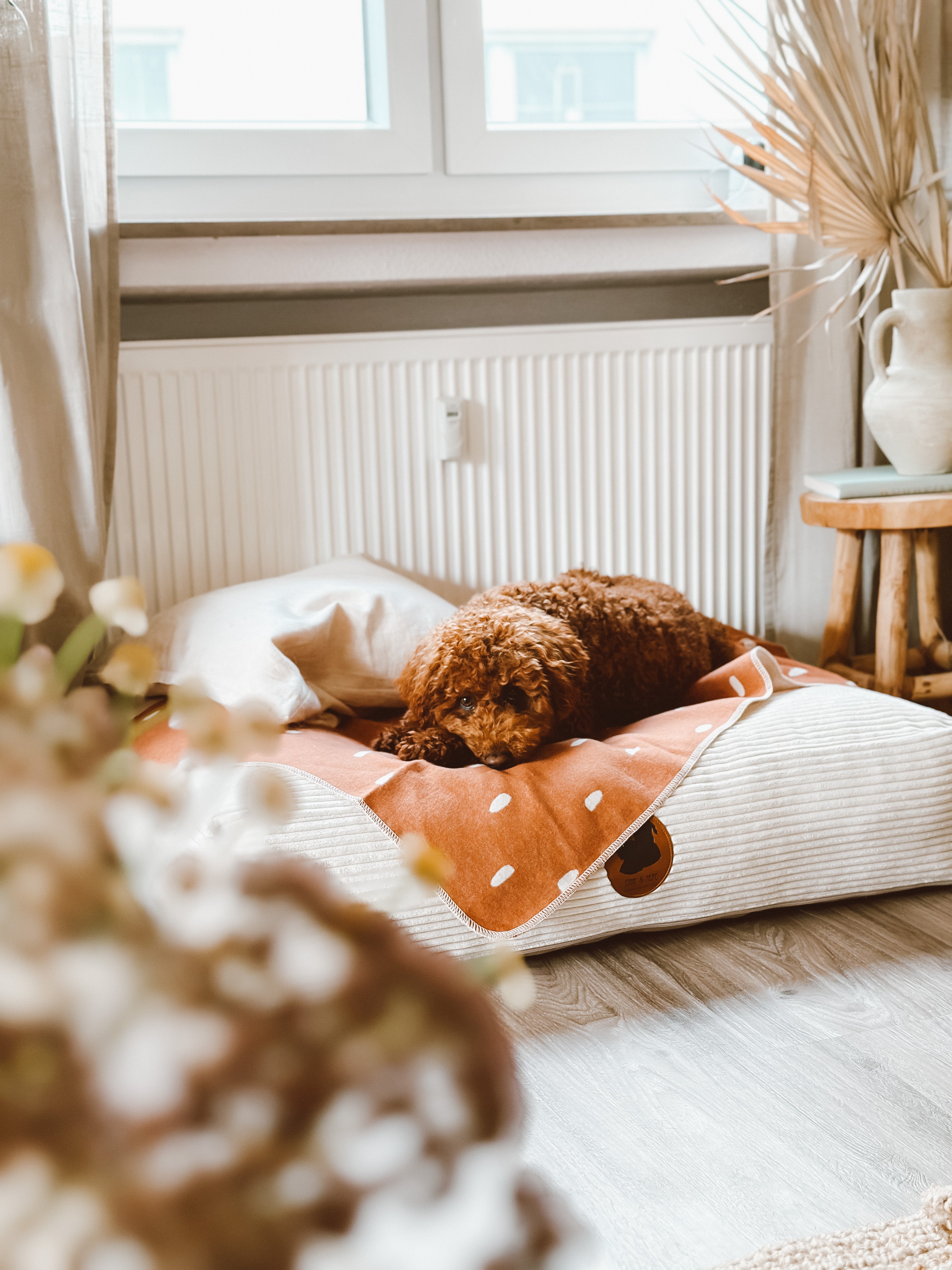 PALOPA Hundedecke Ida Punkte Zimt Milchig Decke für Hunde Waschbar Hundedecke für unterwegs