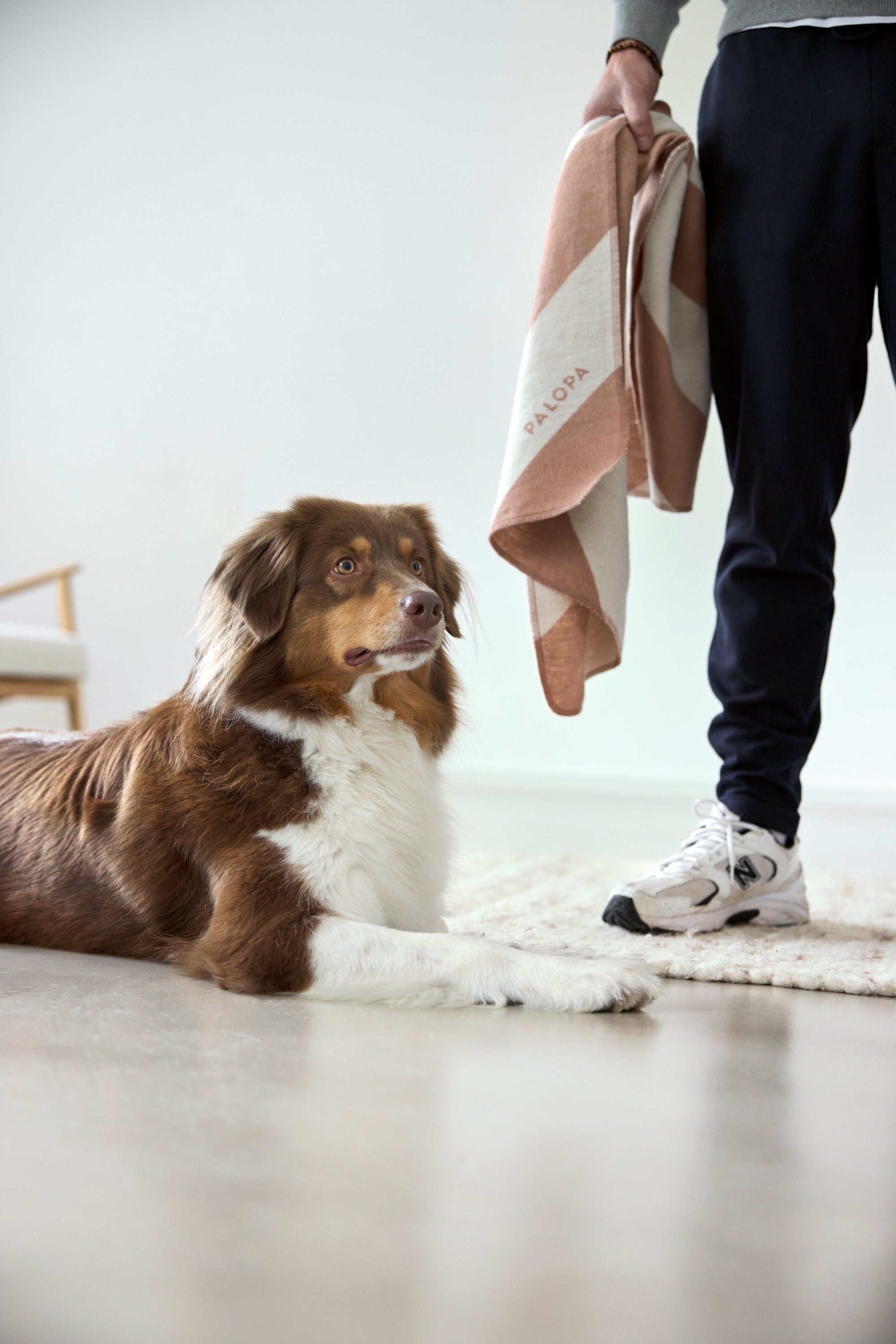 PALOPA Hundedecke Ida Streifen Rosa Ahorn Decke für Hunde Sofa