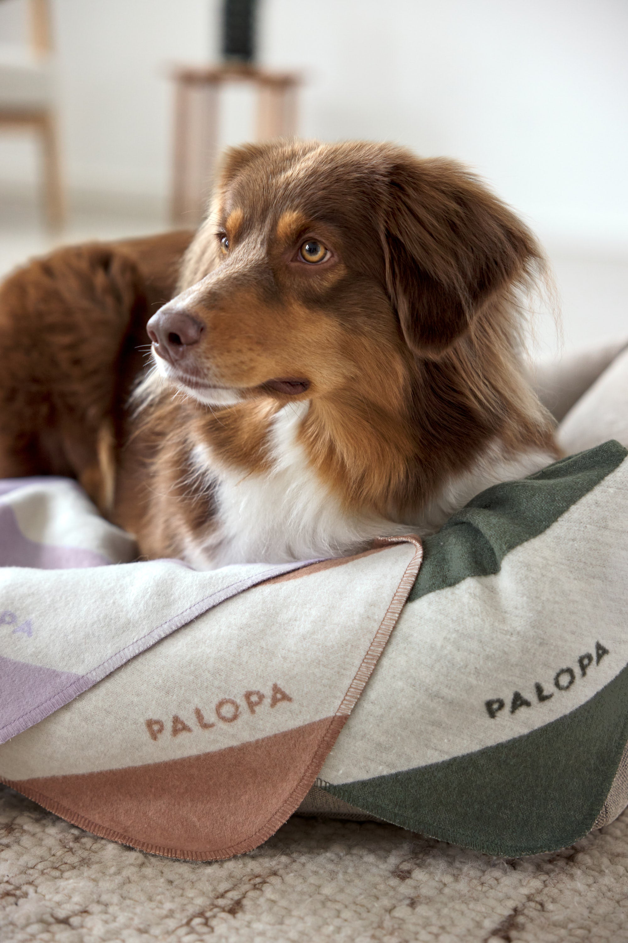 PALOPA Hundedecke Ida Streifen Rosa Ahorn Decke für Hunde waschbar