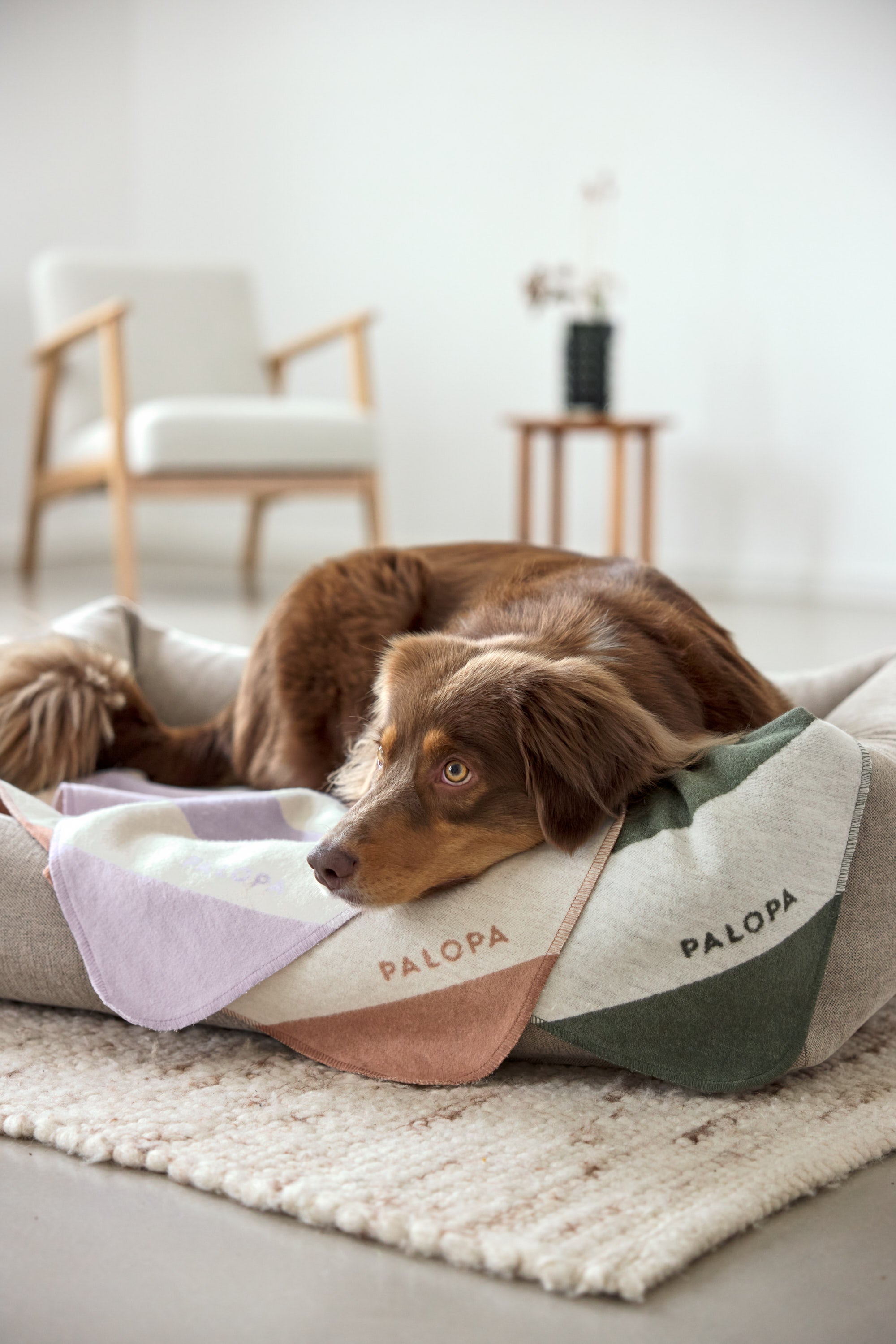 PALOPA Hundedecke Ida Streifen Rosa Ahorn Hundedecke Auto waschbar