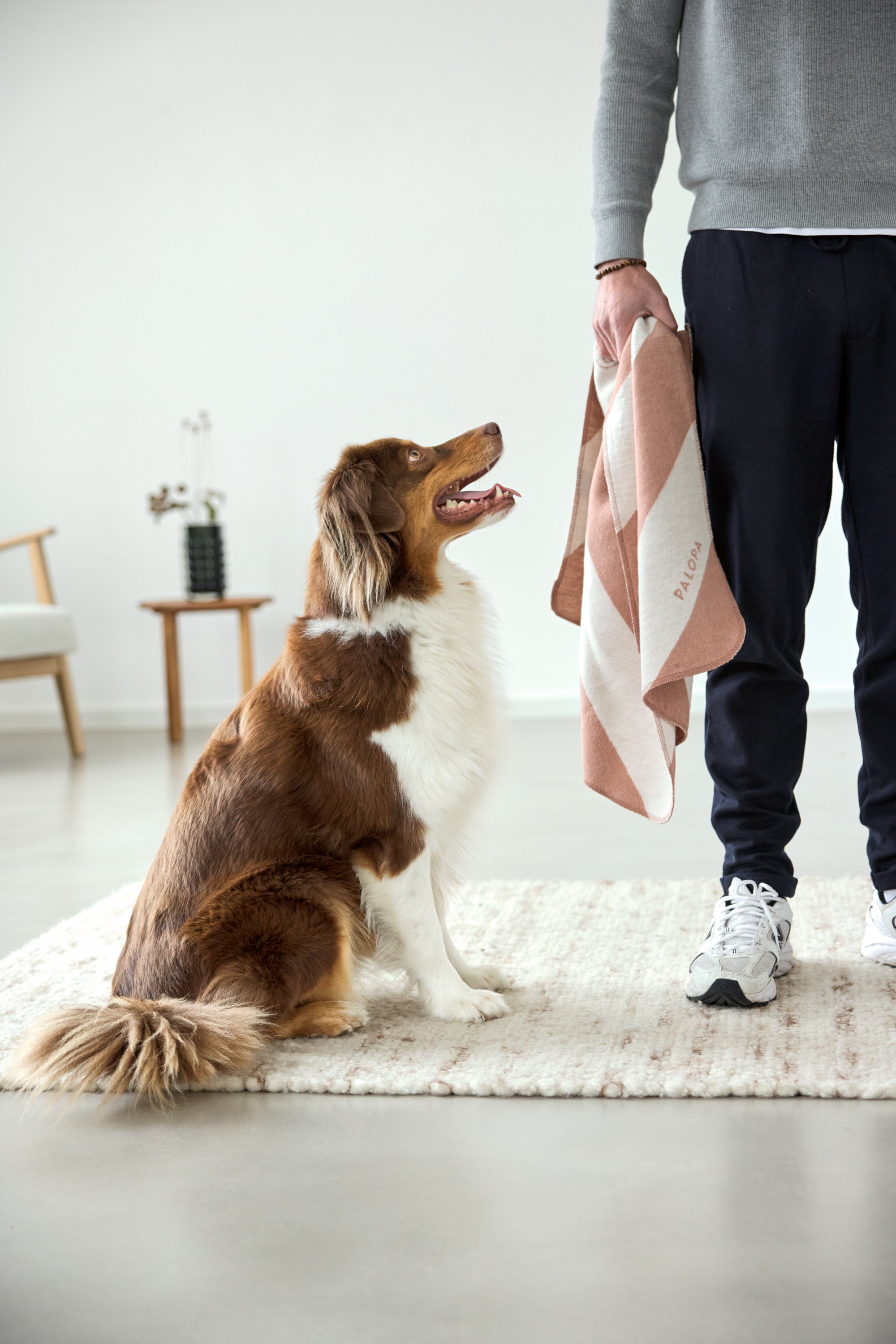 PALOPA Hundedecke Ida Streifen Rosa Ahorn Hundedecke Auto