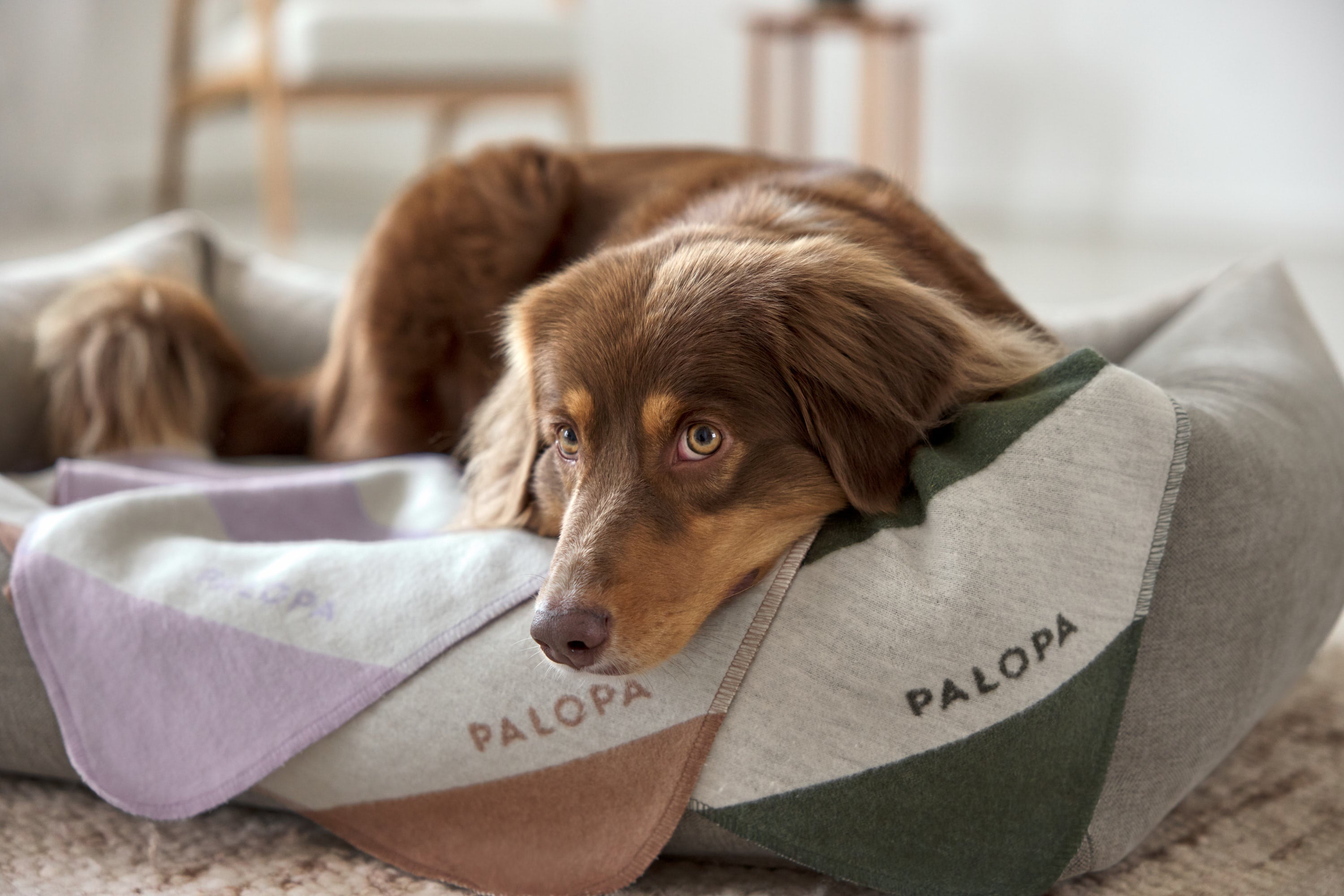 PALOPA Hundedecke Ida Streifen Rosa Ahorn Hundedecke Sofa waschbar