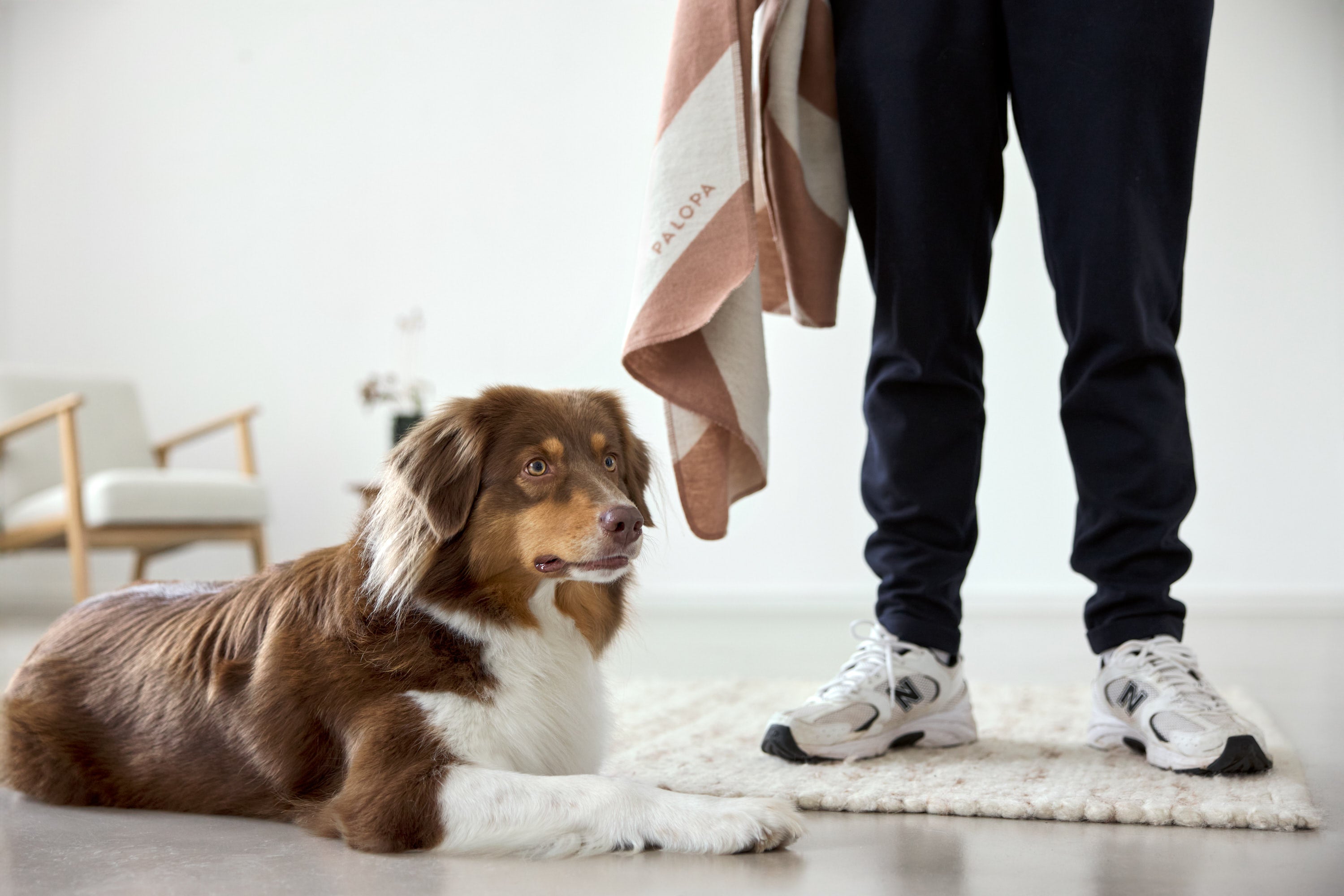 PALOPA Hundedecke Ida Streifen Rosa Ahorn Hundedecke Sofa