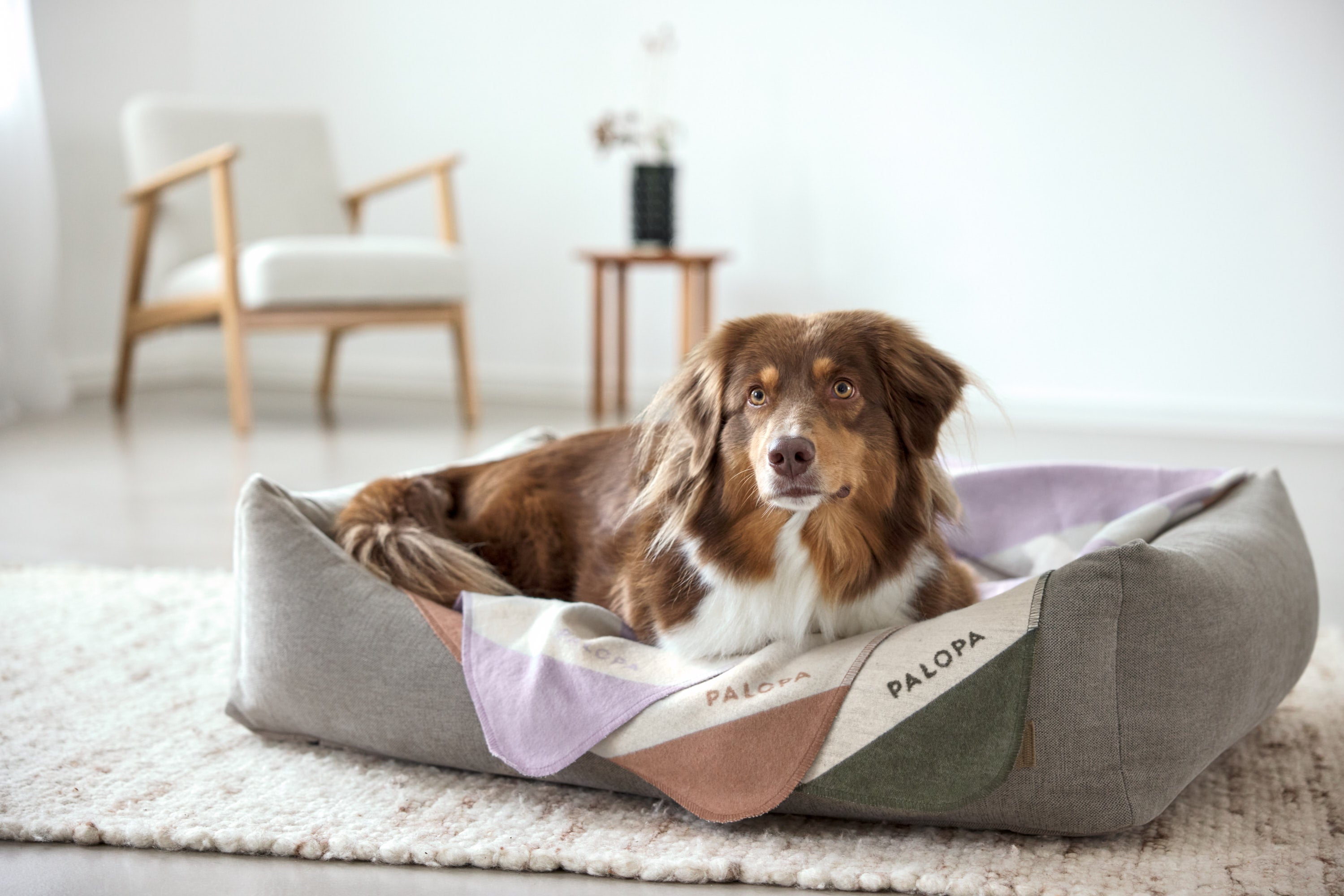 PALOPA Hundedecke Ida Streifen Rosa Ahorn Hundedecke für unterwegs waschbar