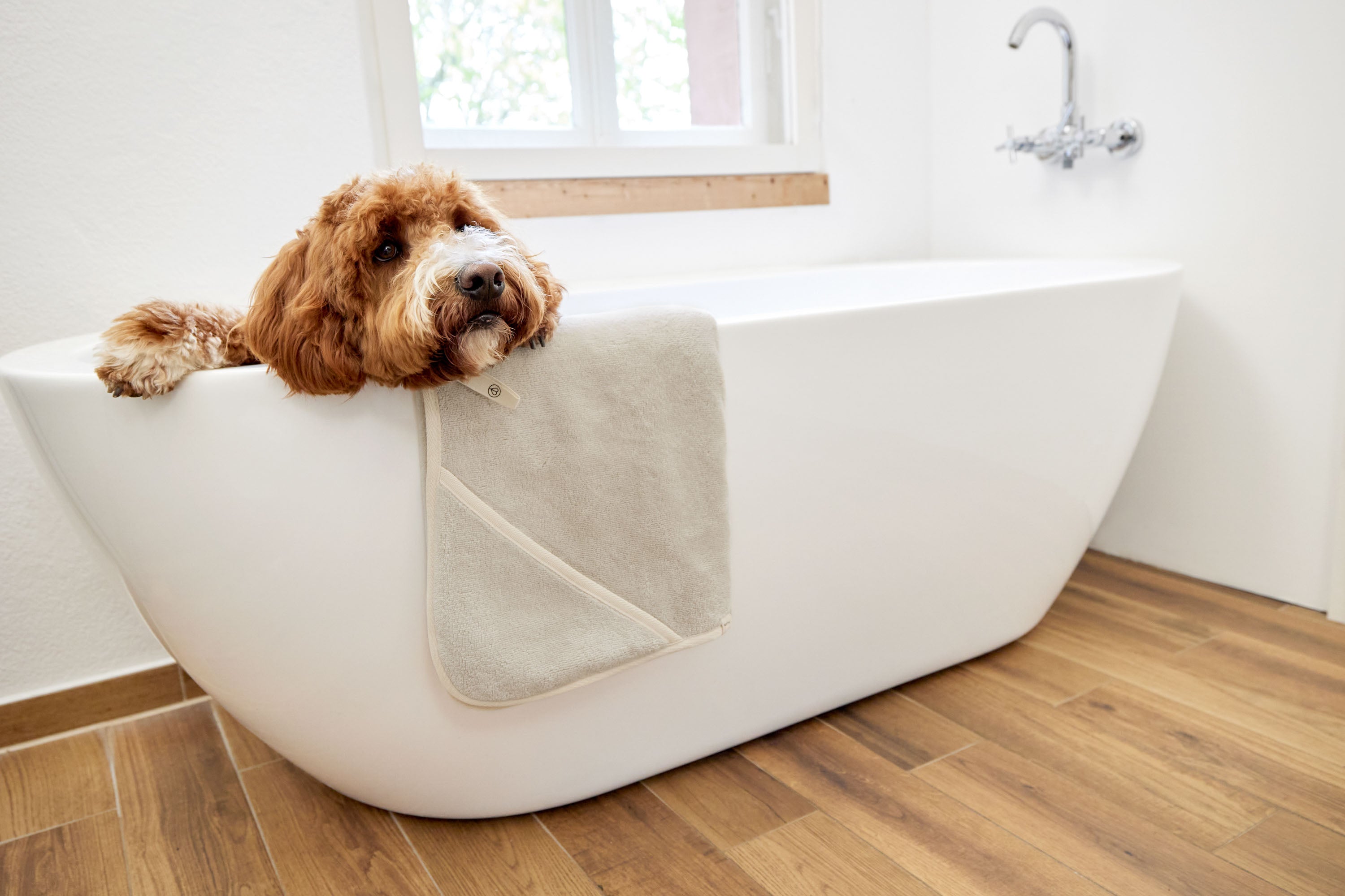PALOPA Hundehandtuch Kosy Beige Hundehandtuch aus Frottee schnelltrocknend