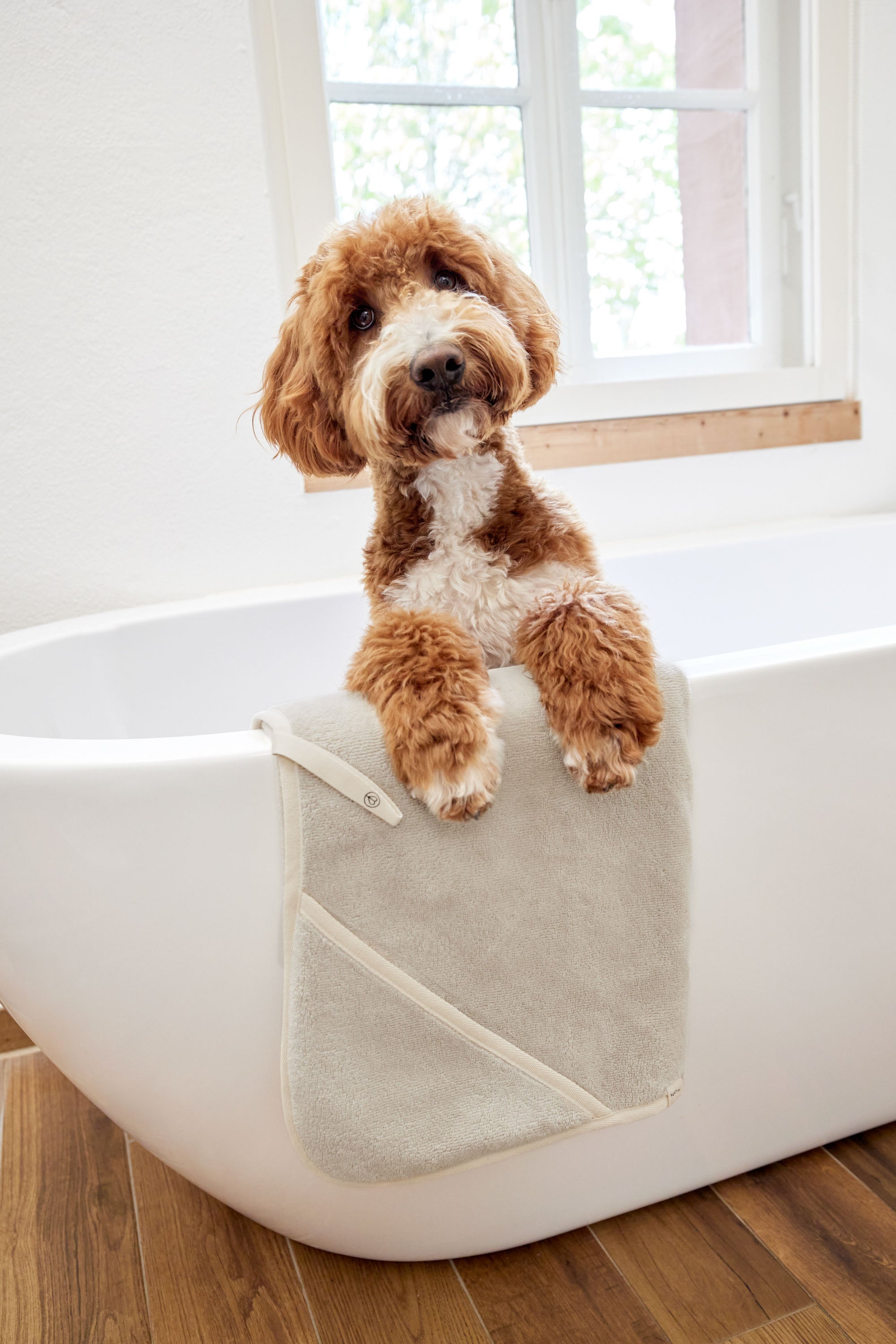 PALOPA Hundehandtuch Kosy Beige nachhaltiges Hundehandtuch