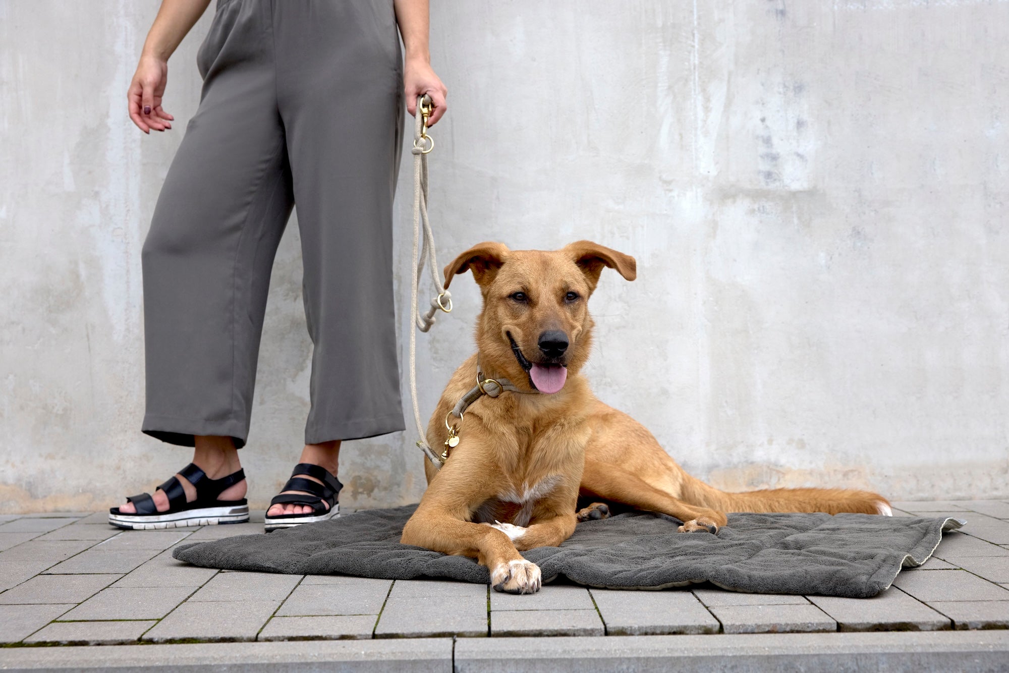 PALOPA Hundematte Alma Anthrazit Hundereisedecke faltbar