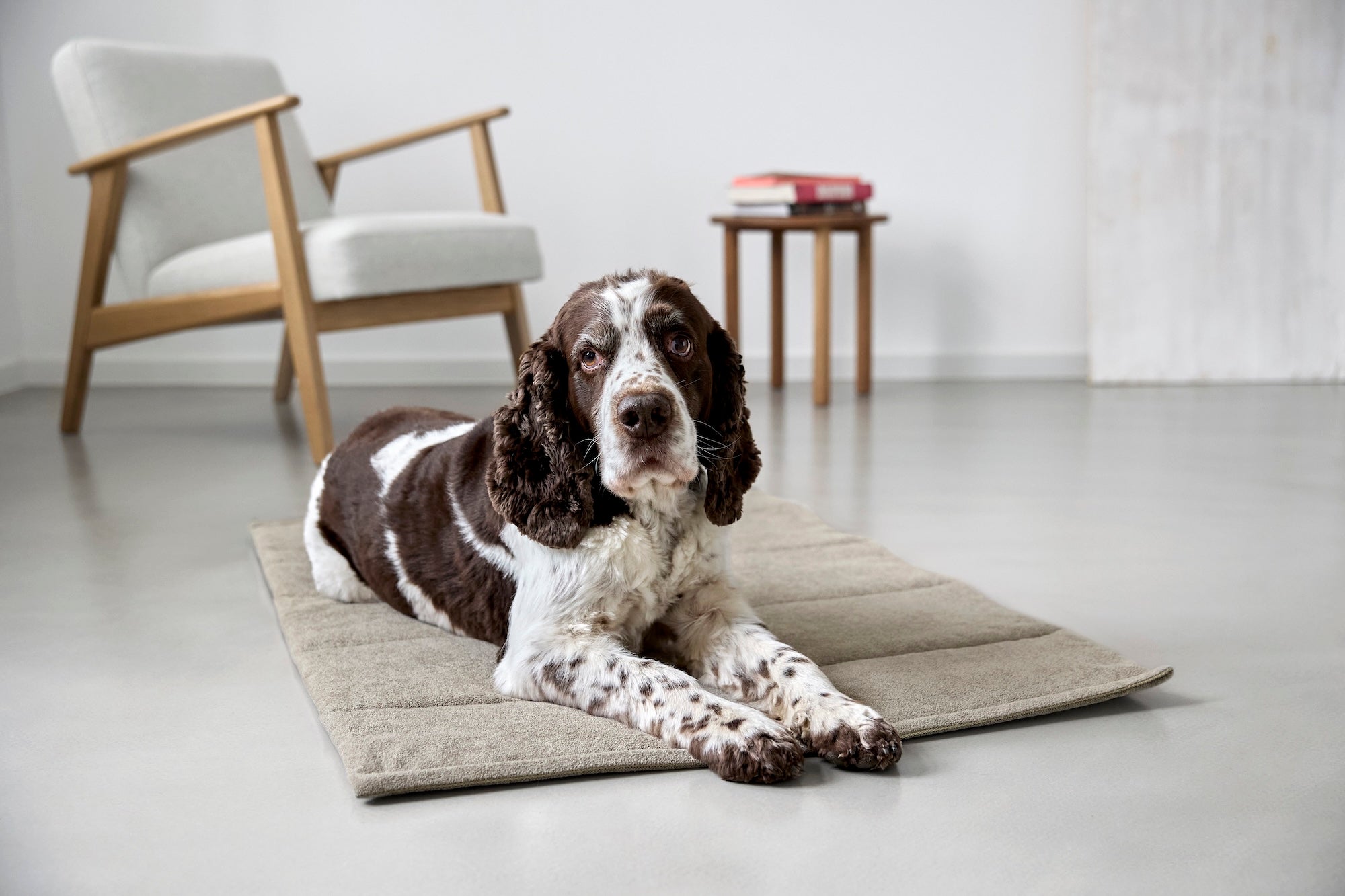 PALOPA Hundematte Alma Greige Hundereisebett