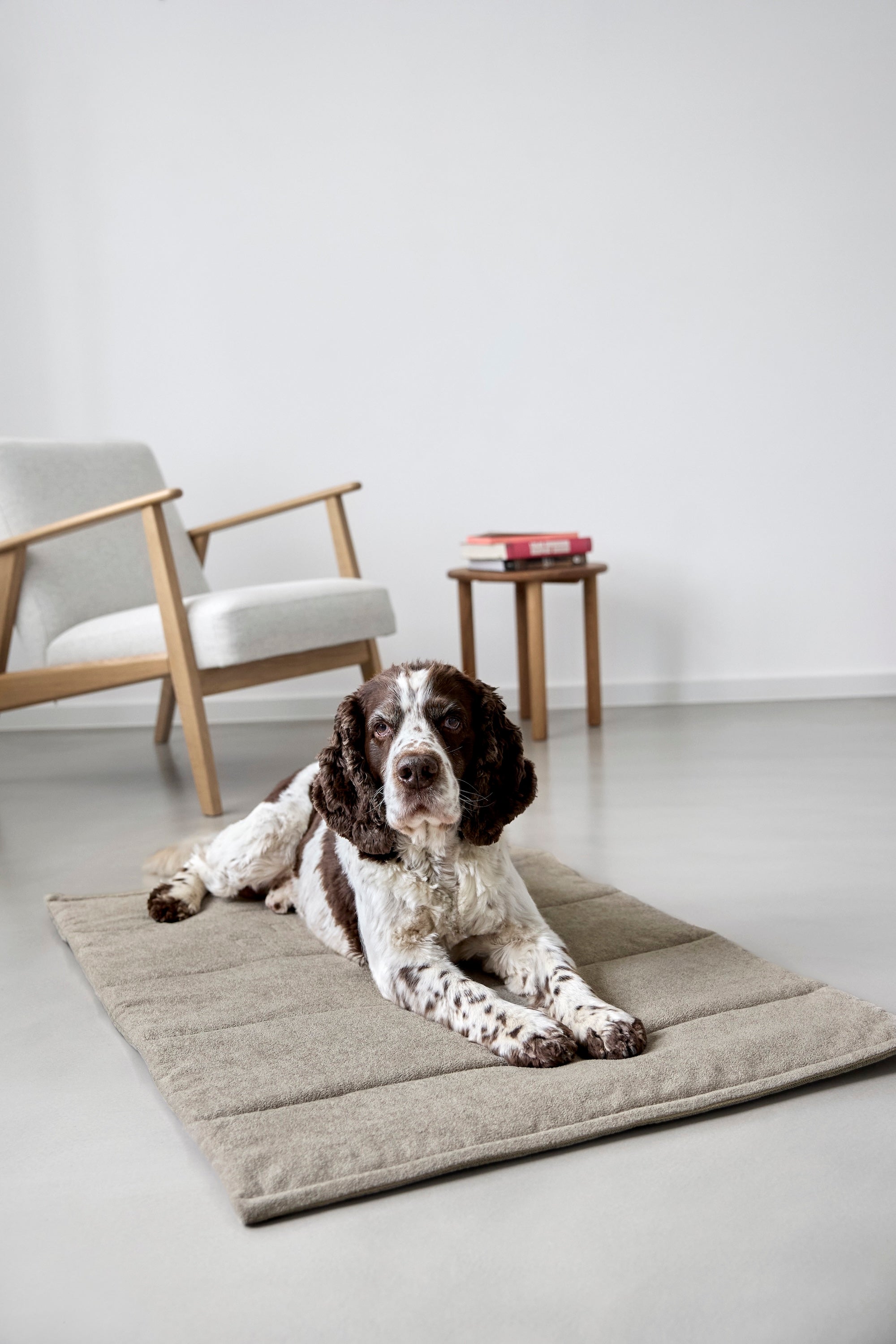 PALOPA Hundematte Alma Greige Hundereisedecke wasserabweisend