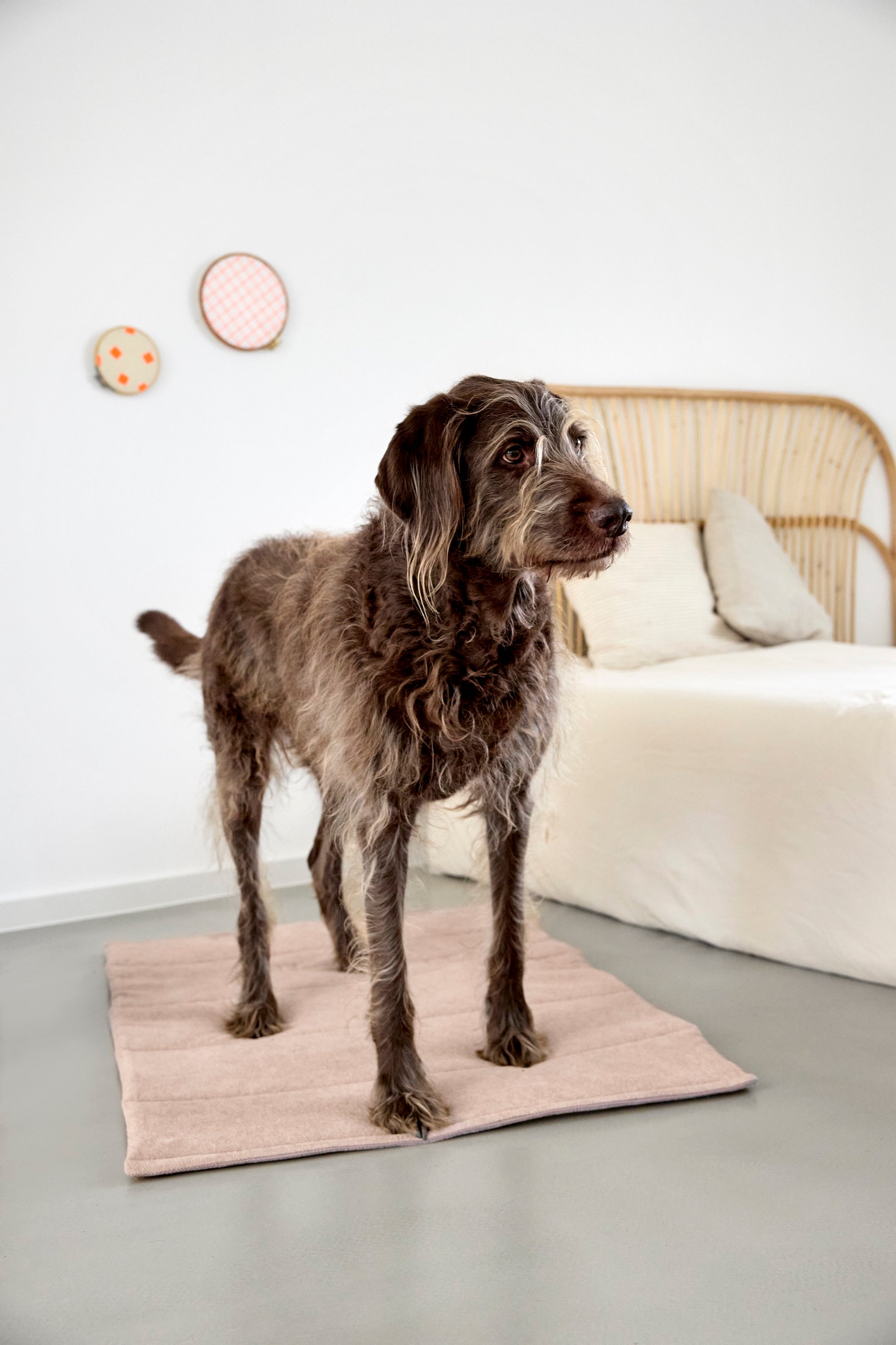 PALOPA Hundematte Alma Rose Hundedecke tragbar Hundereisebett faltbar