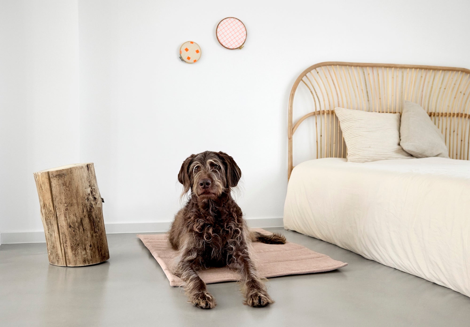 PALOPA Hundematte Alma Rose Hundematte für unterwegs