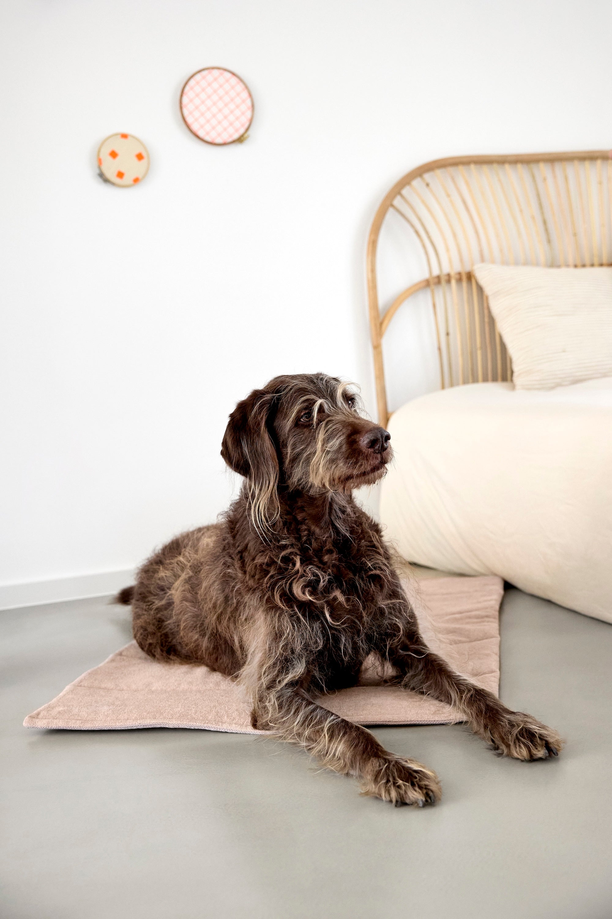 PALOPA Hundematte Alma Rose Hundereisebett wasserabweisend