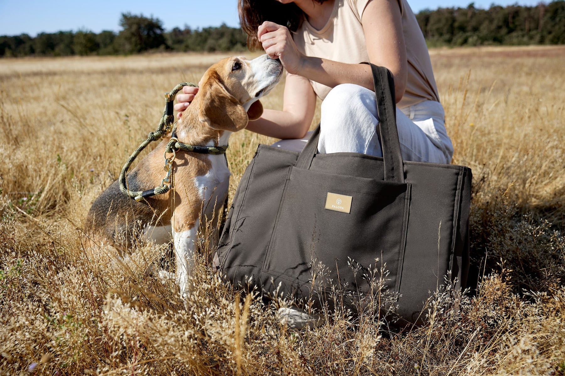 PALOPA Hundemattentasche Nobo Anthrazit 2-in-1 Hundedecke
