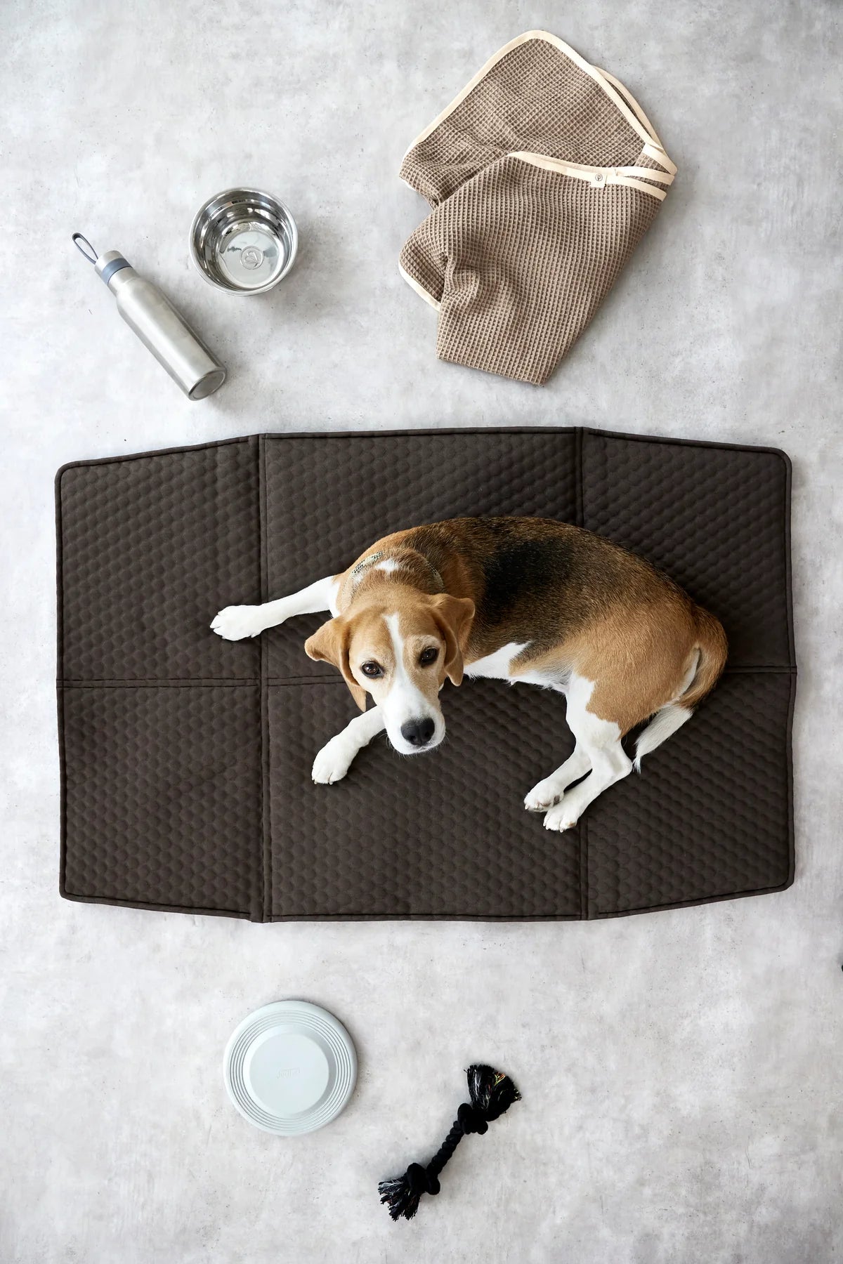 PALOPA Hundemattentasche Nobo Anthrazit Hundereisedecke fuer unterwegs