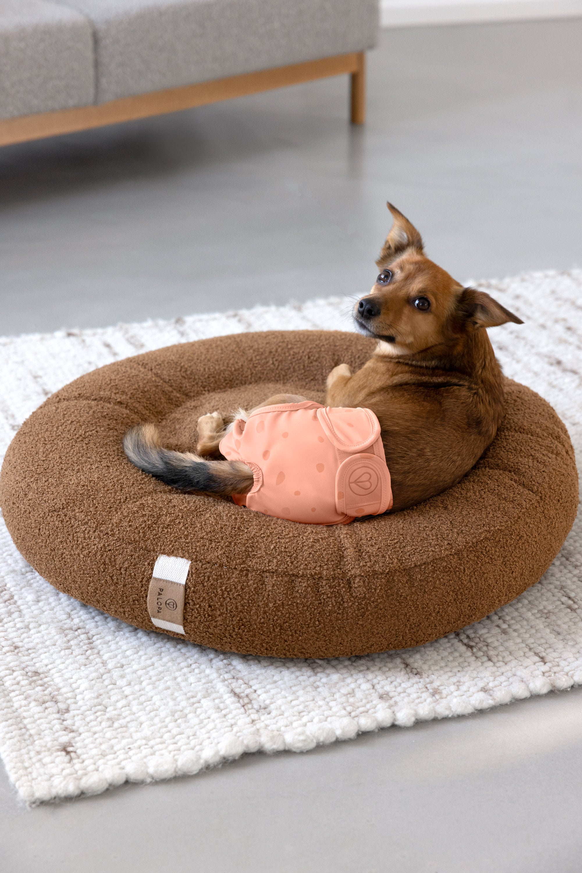 PALOPA Läufigkeitshöschen Dog Diaper Glan Dots Peach Hundewindel