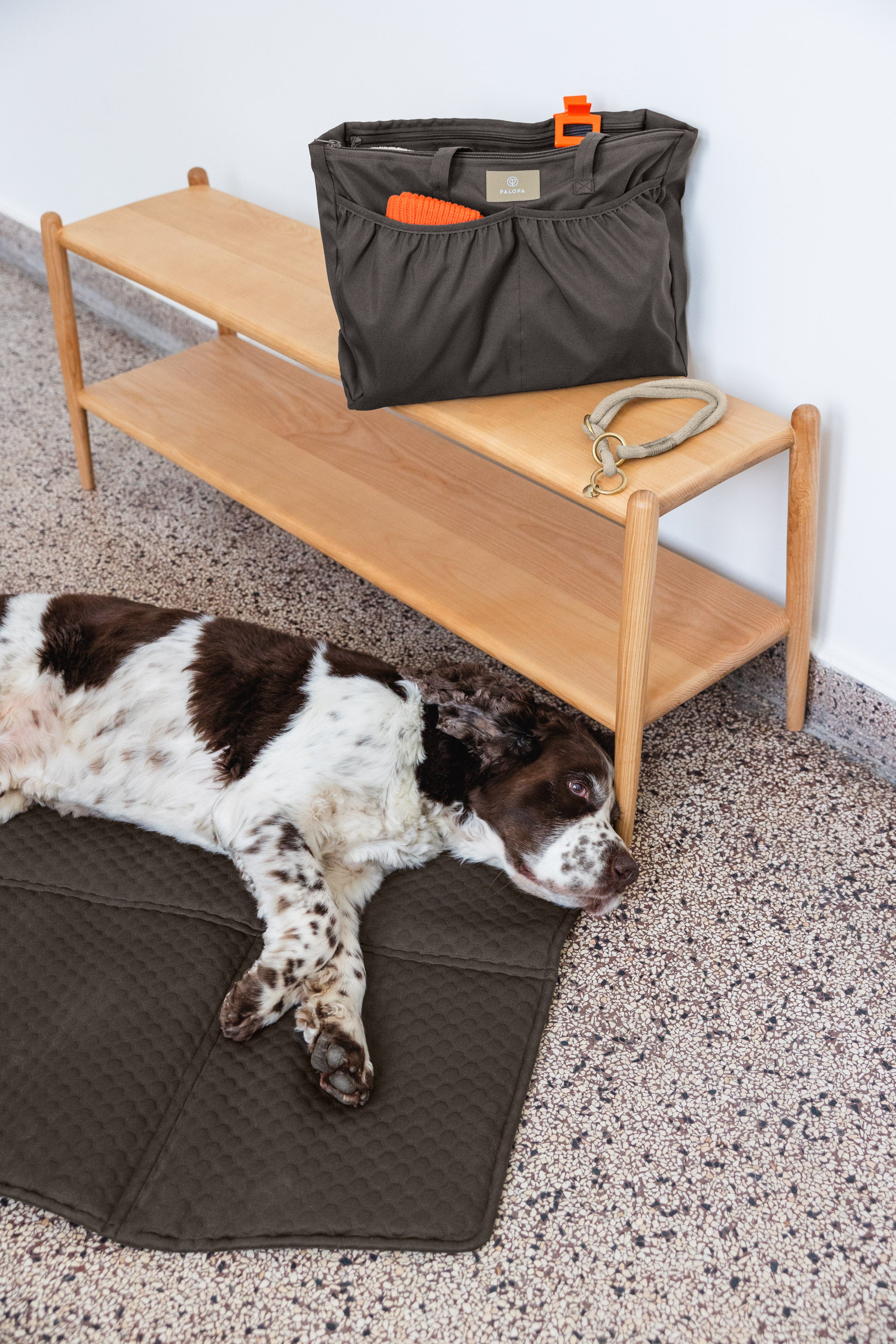 PALOPA Multitalent Organizer Jari Anthrazit Tasche für Hunde Zubehör zum Umhängen