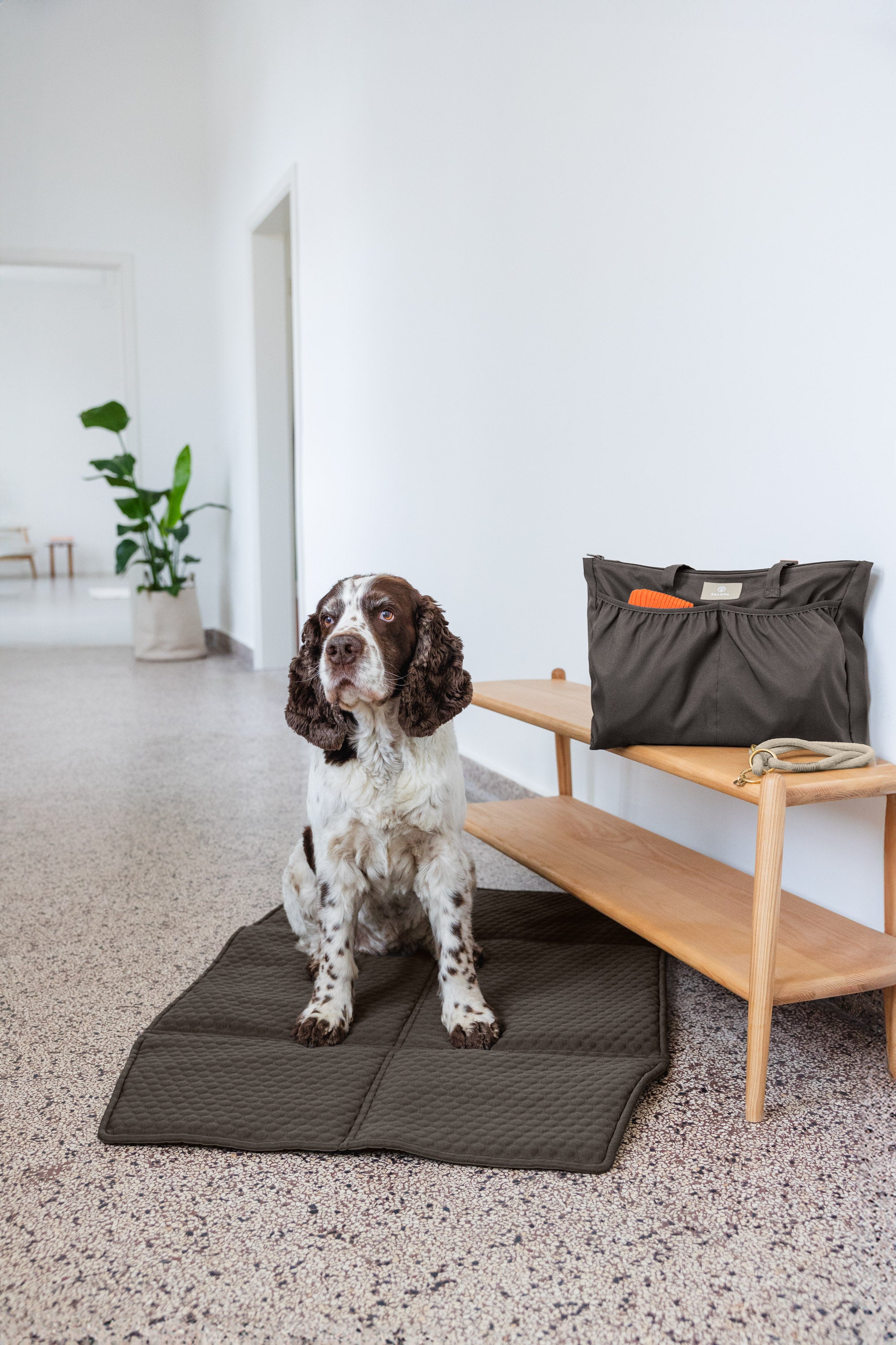 PALOPA Multitalent Organizer Jari Anthrazit Tasche für Hunde für unterwegs