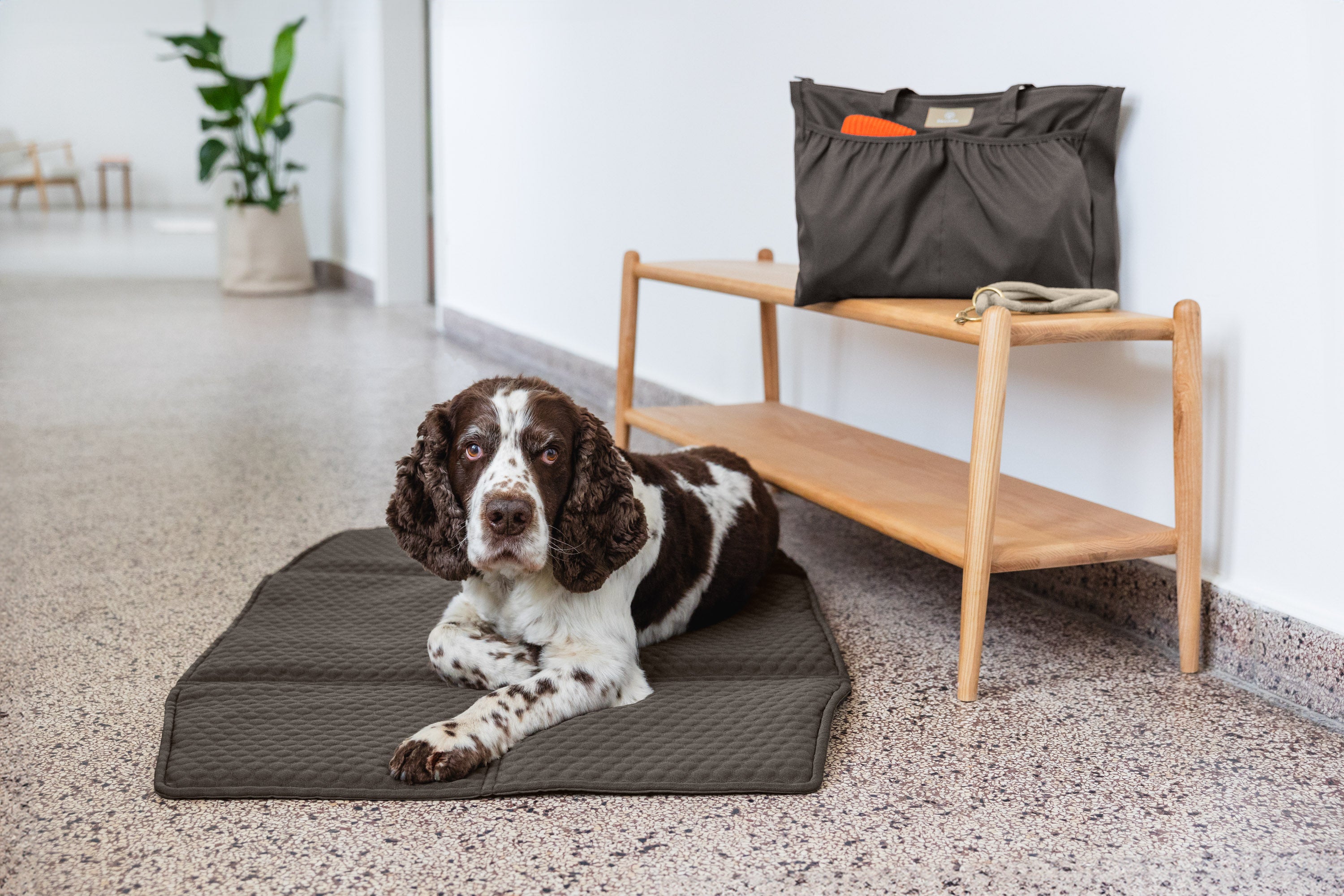 PALOPA Multitalent Organizer Jari Anthrazit Unterwegs mit Hund Aufbewahrung Tasche Hundezubehör