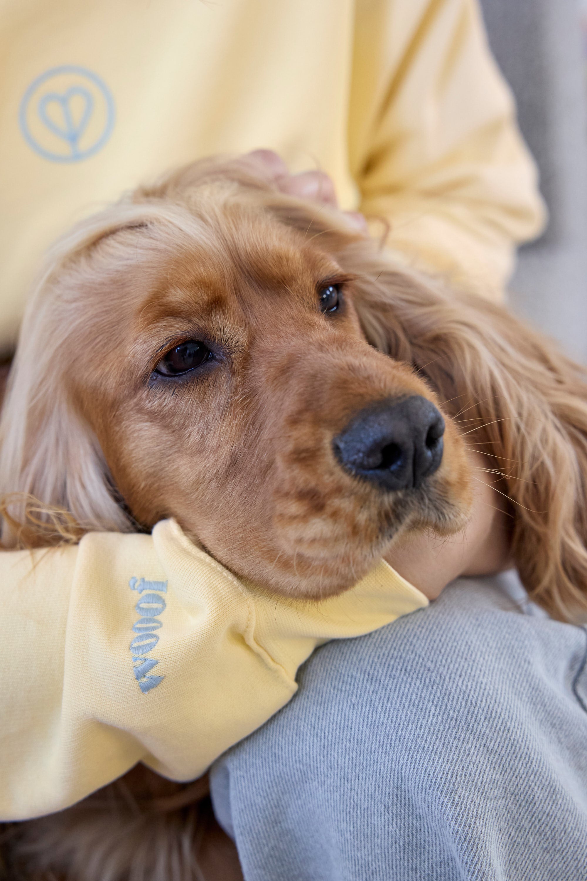 PALOPA Pullover GOTS Lemon Icing Sweatshirt Hundemotiv Baumwolle